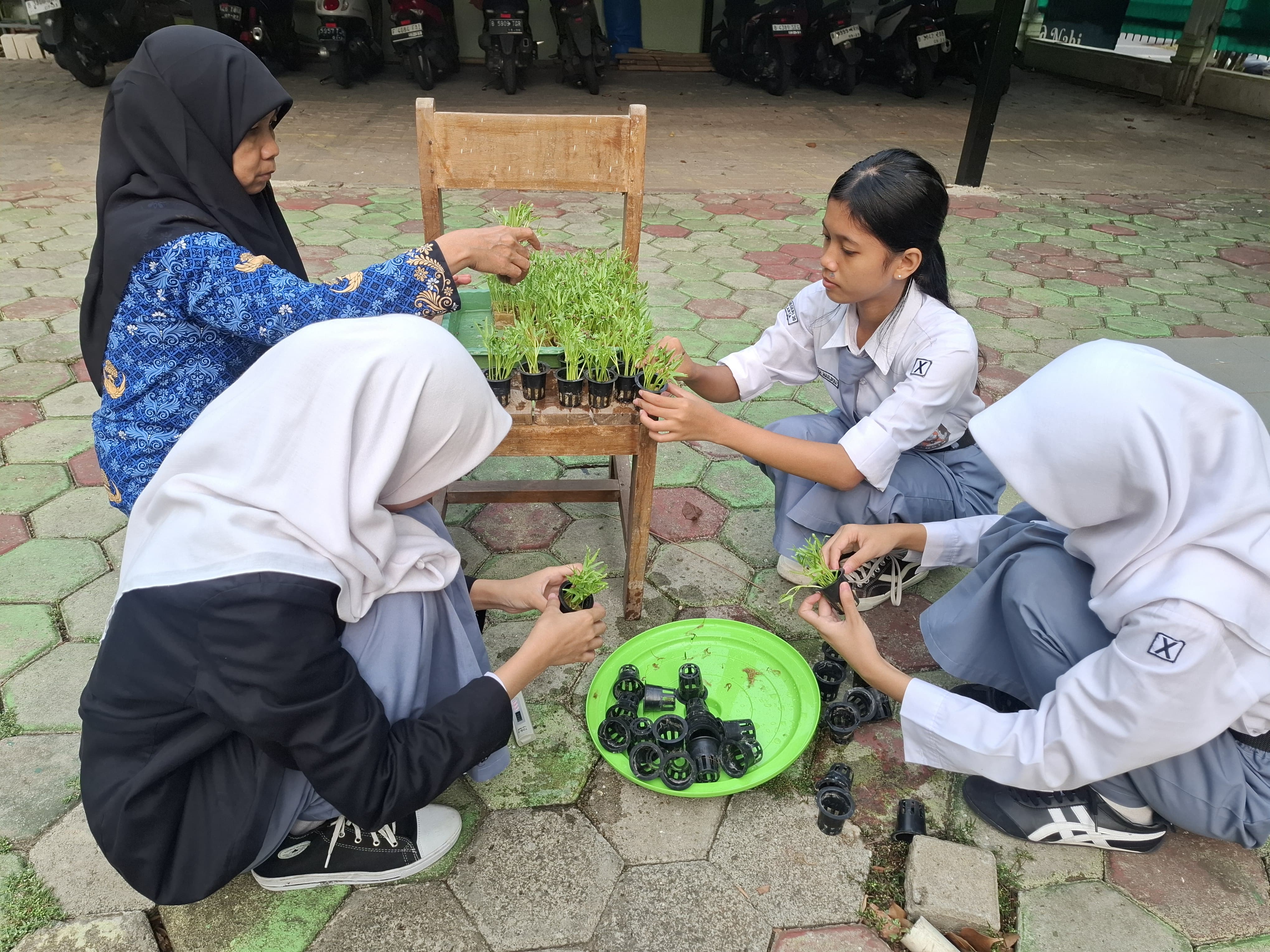 Lahan Urban Farming SMKN 20 Jakarta - Gambar 2