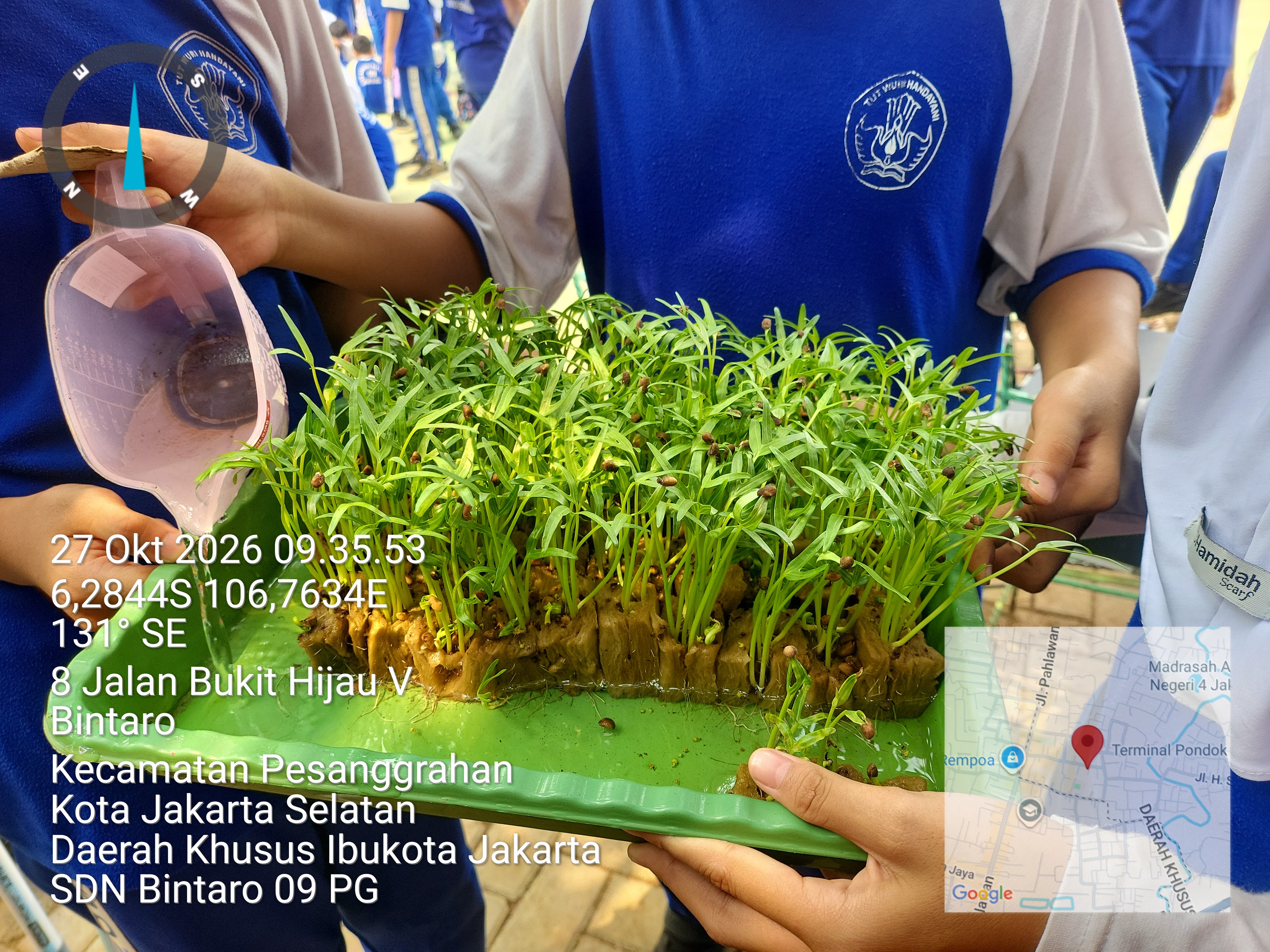 Lahan Urban Farming SDN Bintaro 09 - Gambar 5