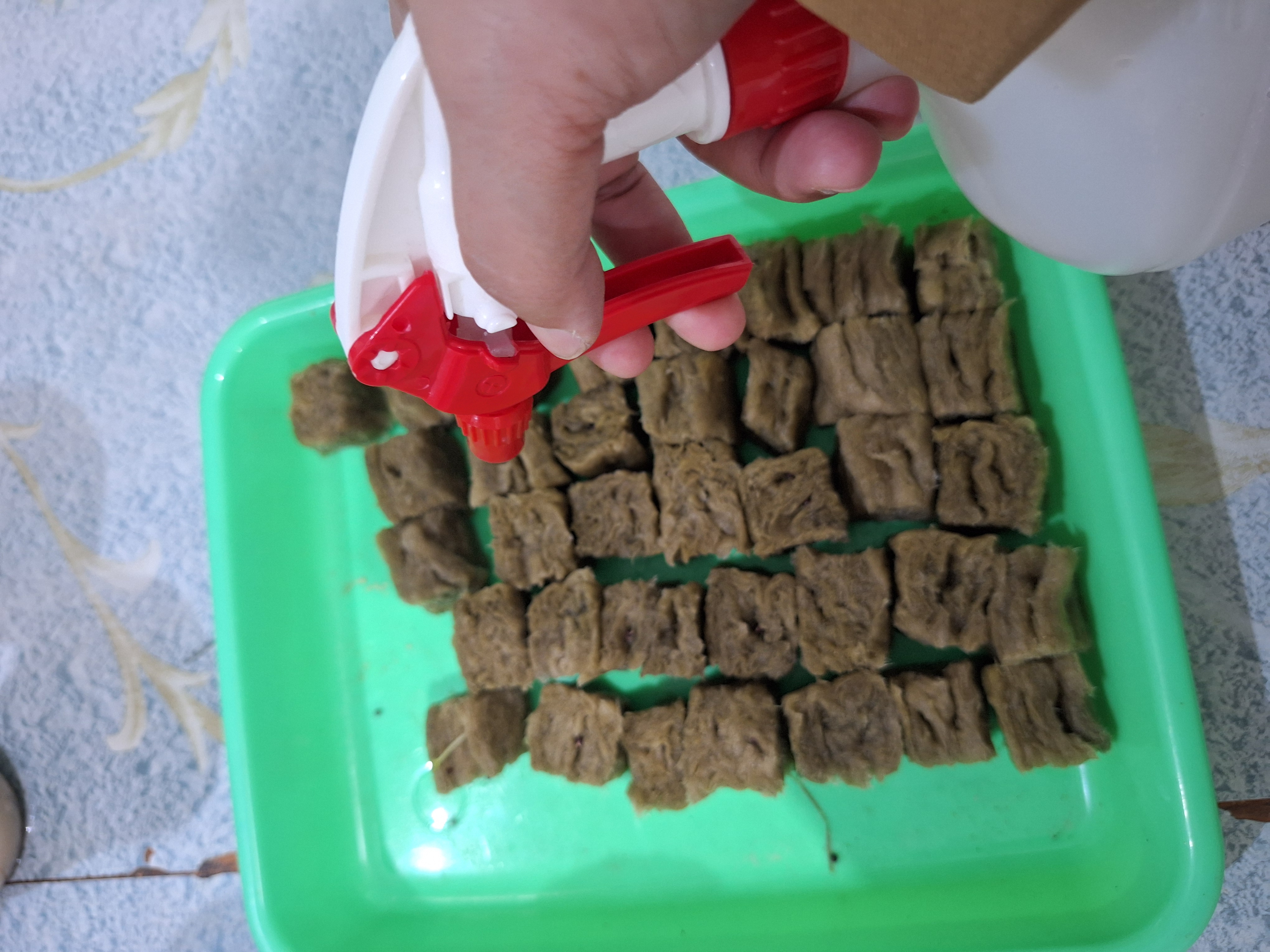 Lahan Urban Farming SMAN 34 Jakarta - Gambar 1