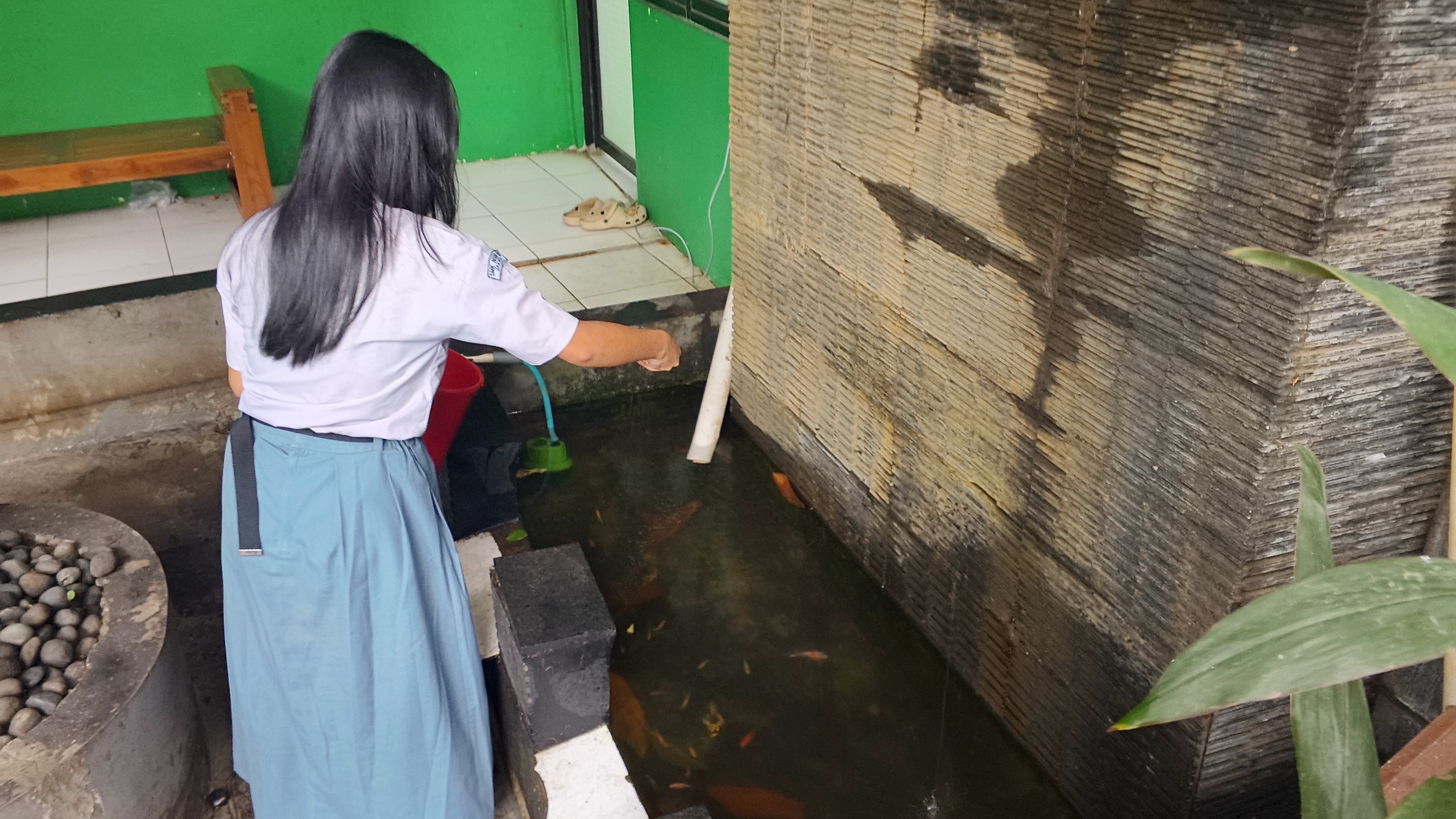 Lahan Urban Farming SMKN 59 Jakarta - Gambar 2