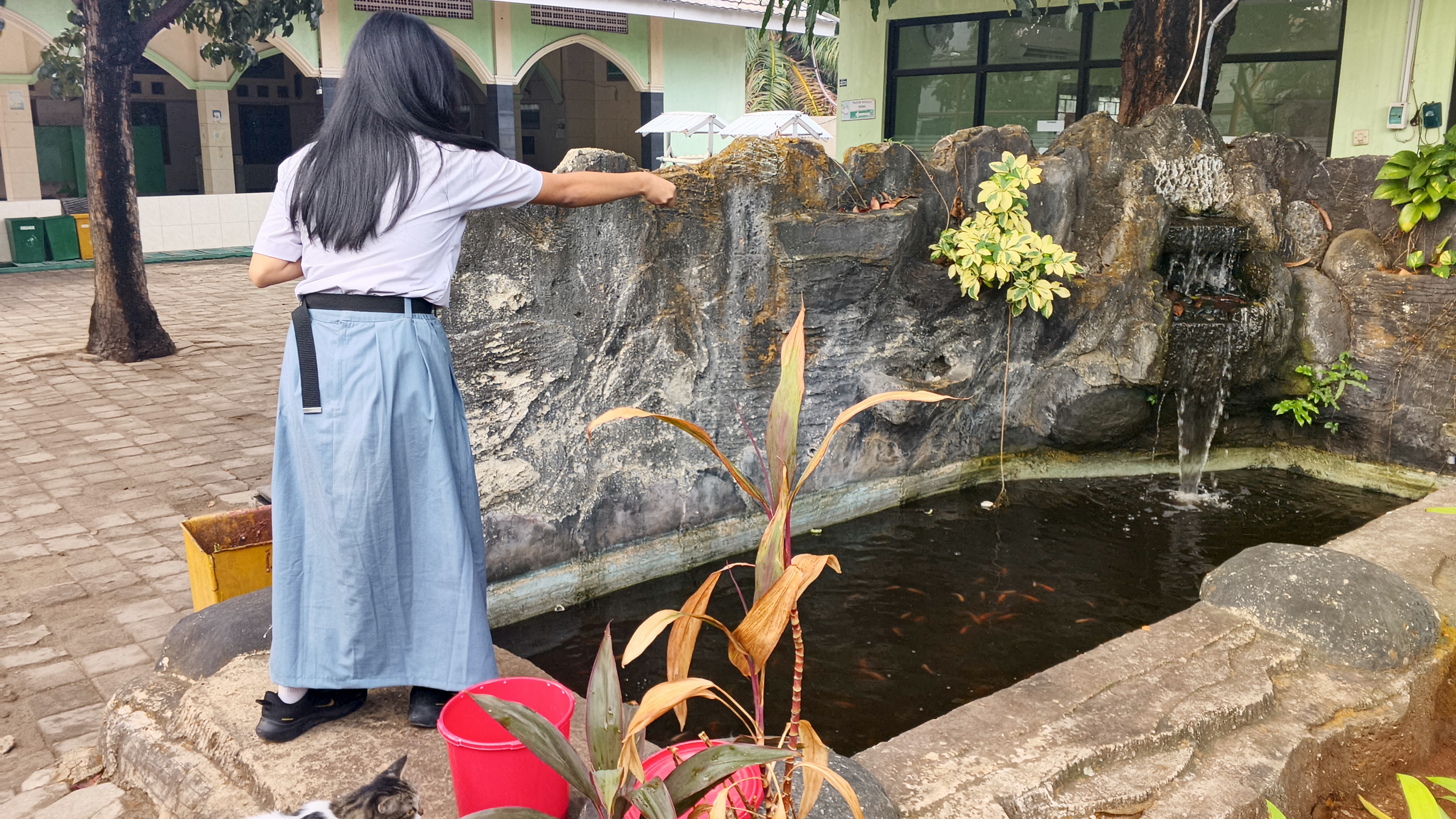 Lahan Urban Farming SMKN 59 Jakarta - Gambar 1