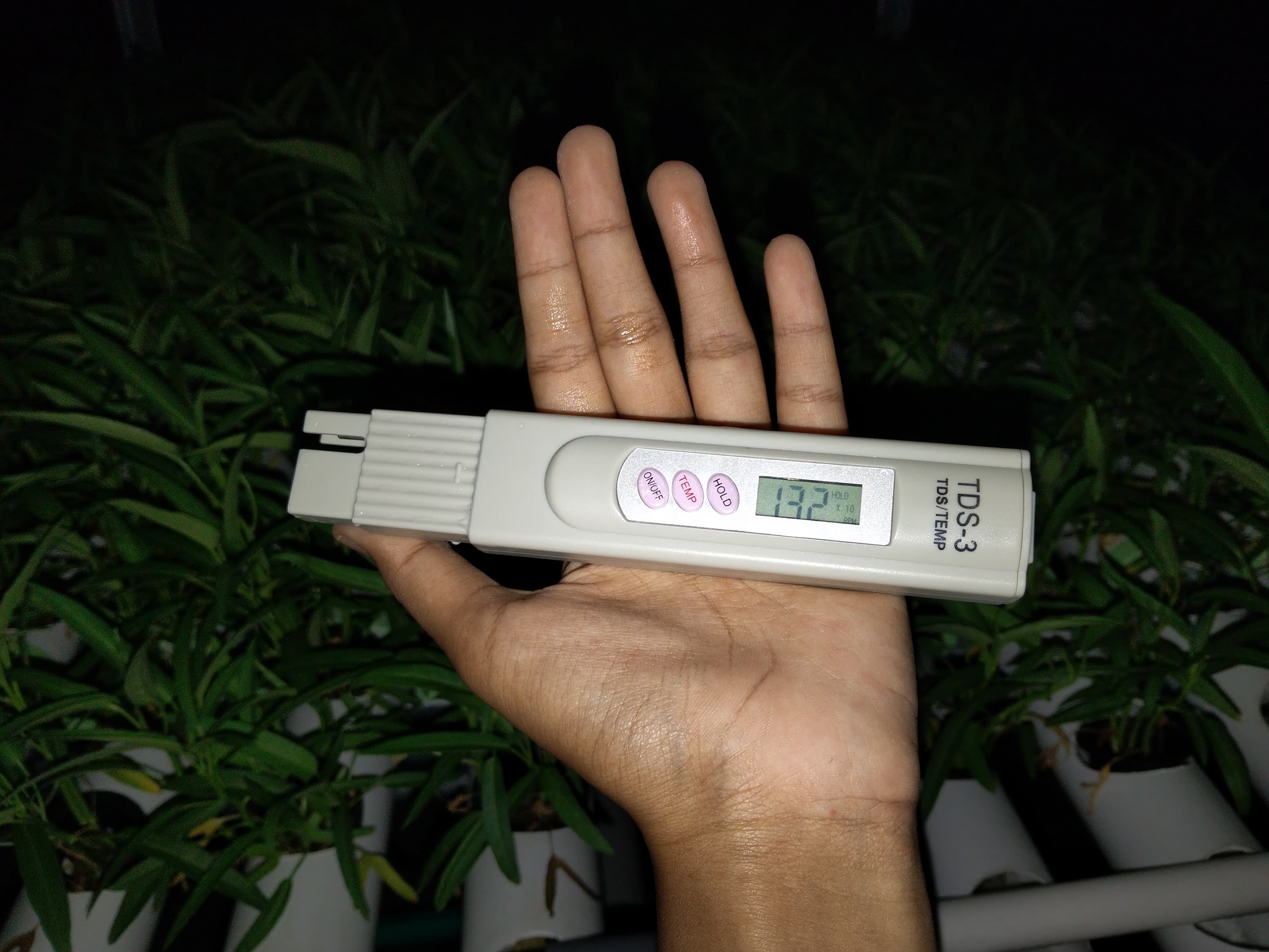 KEBUN SMKN 74 JAGAKARSA JAKARTA SELATAN - Gambar 527