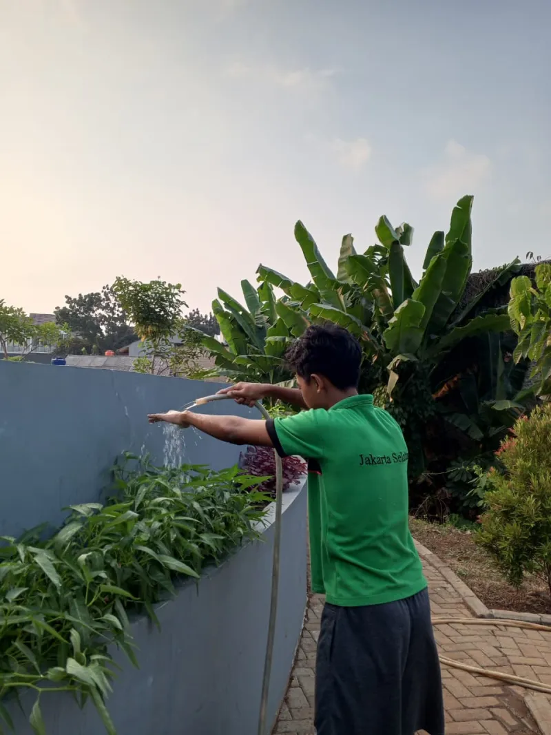 KEBUN SMKN 74 JAGAKARSA JAKARTA SELATAN - Gambar 519