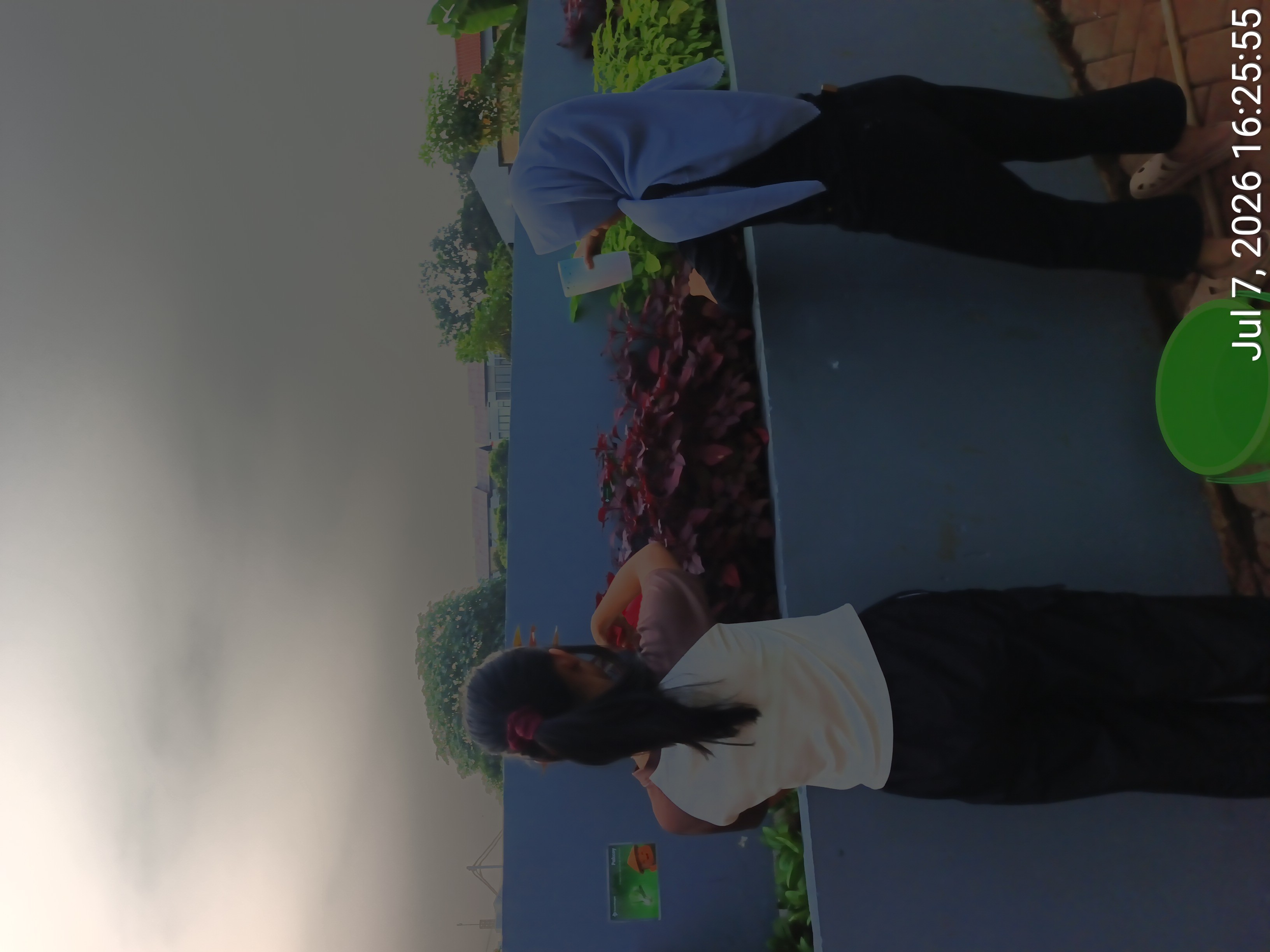 KEBUN SMKN 74 JAGAKARSA JAKARTA SELATAN - Gambar 516