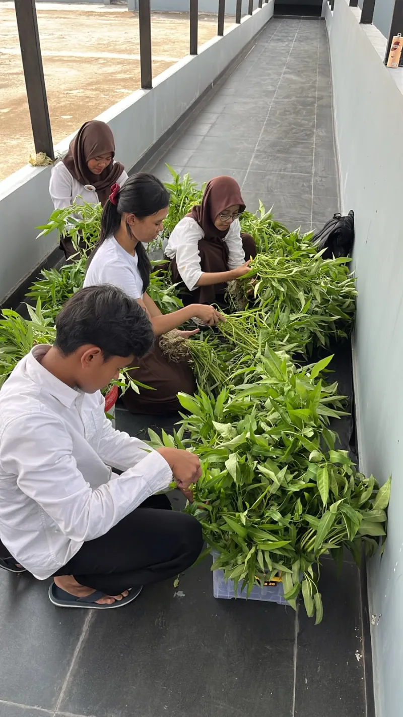 KEBUN SMKN 74 JAGAKARSA JAKARTA SELATAN - Gambar 507