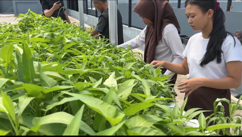 KEBUN SMKN 74 JAGAKARSA JAKARTA SELATAN - Gambar 508