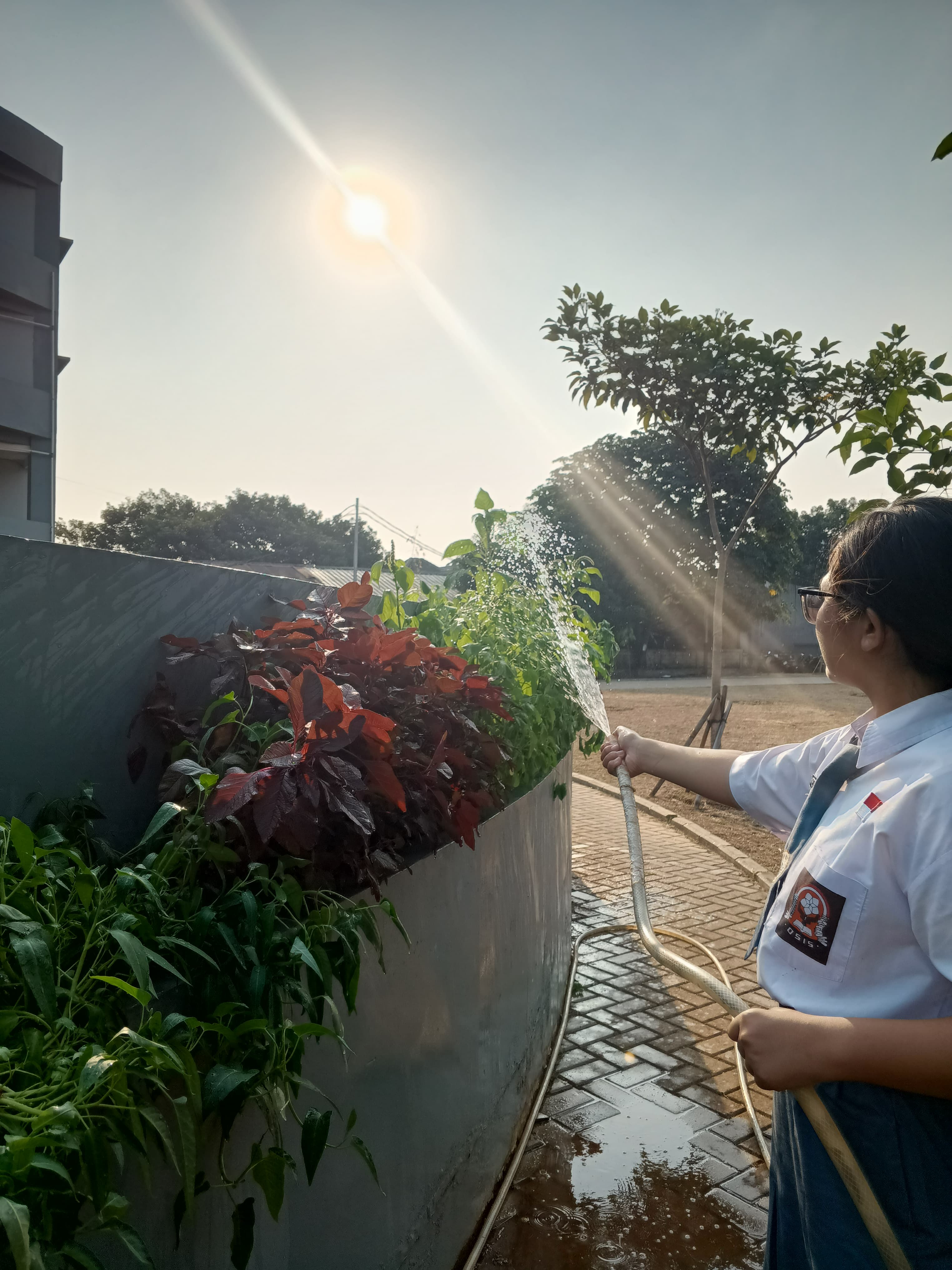 KEBUN SMKN 74 JAGAKARSA JAKARTA SELATAN - Gambar 504