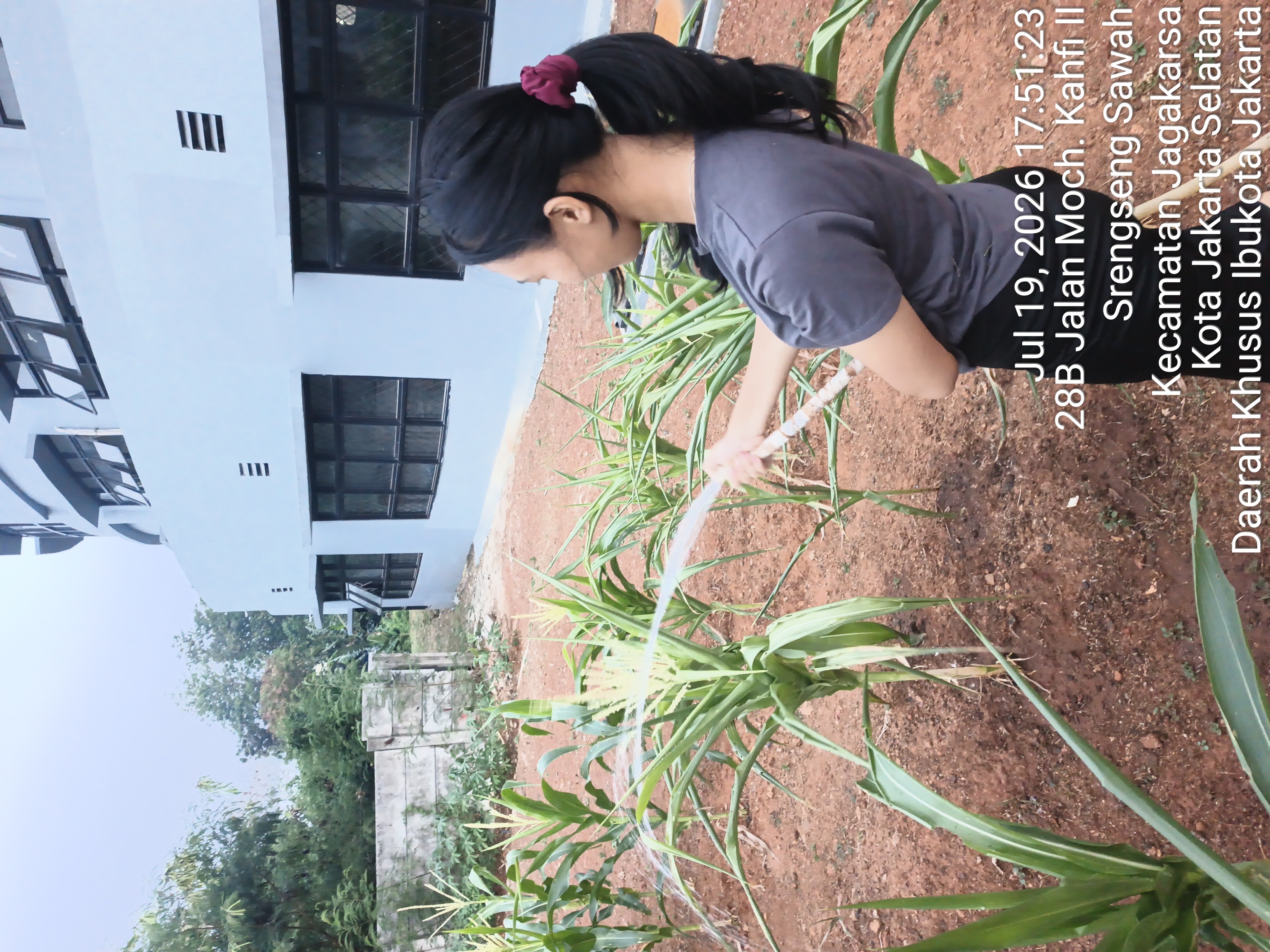 KEBUN SMKN 74 JAGAKARSA JAKARTA SELATAN - Gambar 497