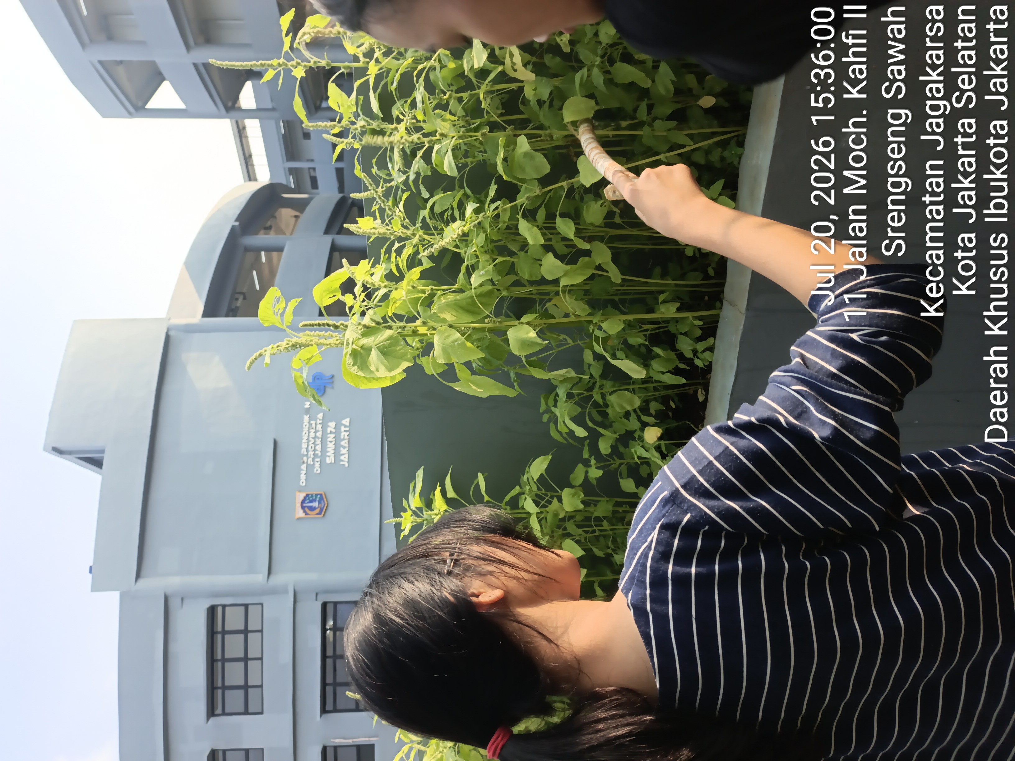 KEBUN SMKN 74 JAGAKARSA JAKARTA SELATAN - Gambar 495