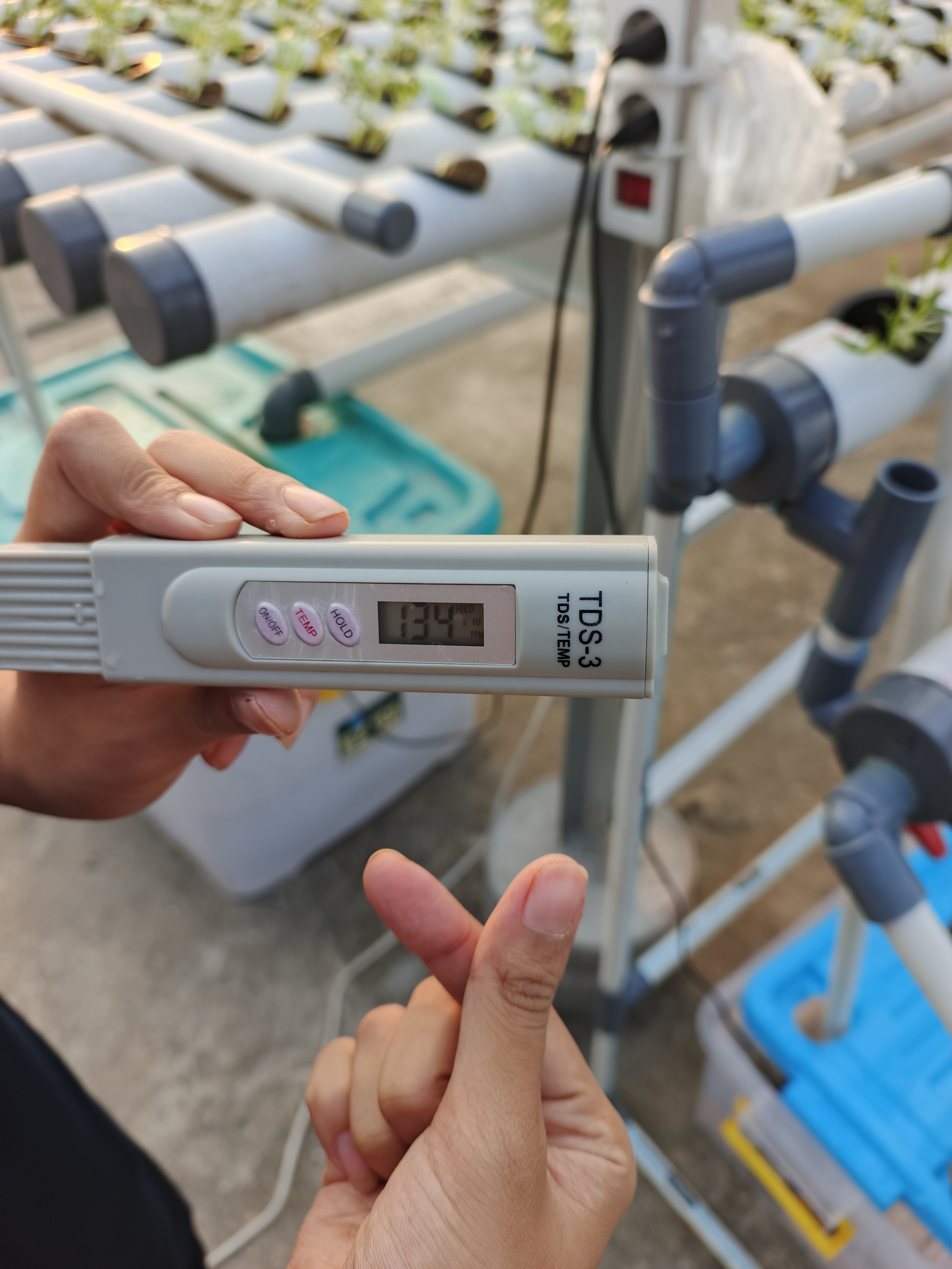 KEBUN SMKN 74 JAGAKARSA JAKARTA SELATAN - Gambar 484