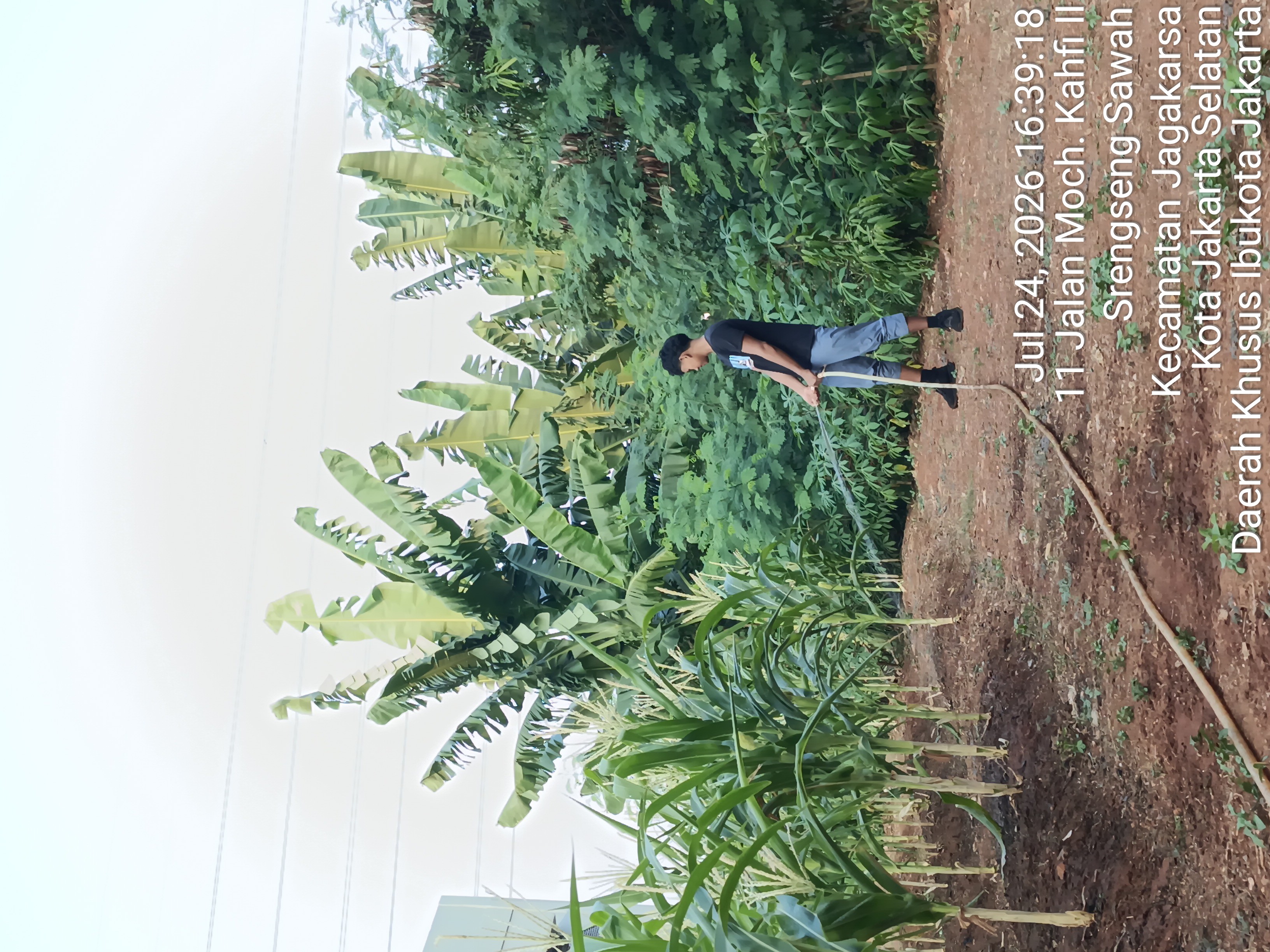 KEBUN SMKN 74 JAGAKARSA JAKARTA SELATAN - Gambar 485