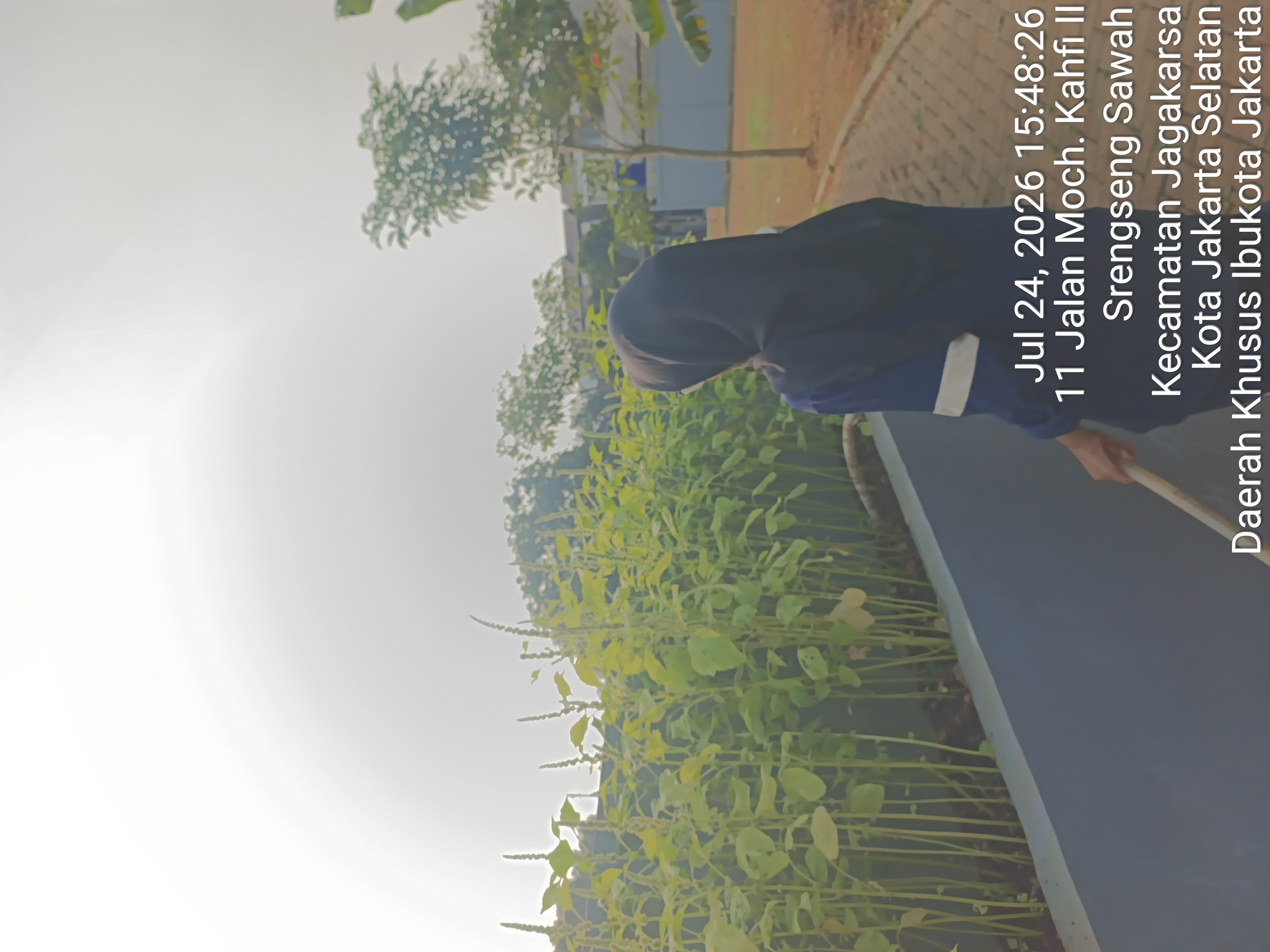 KEBUN SMKN 74 JAGAKARSA JAKARTA SELATAN - Gambar 487