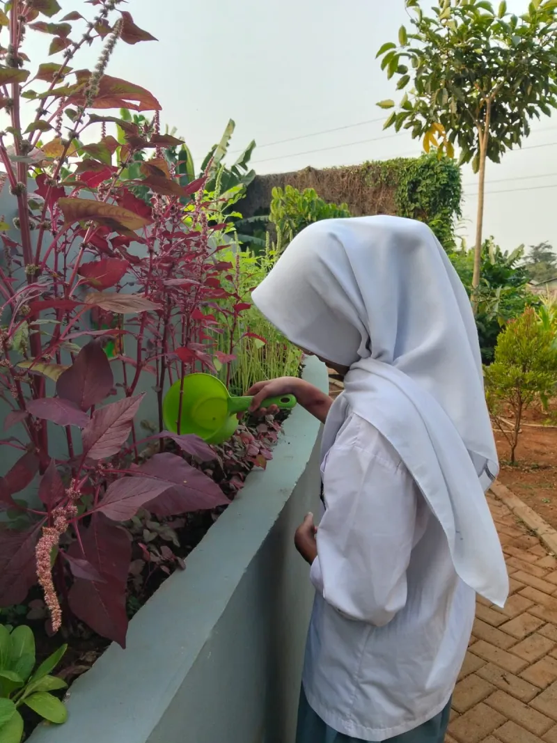 KEBUN SMKN 74 JAGAKARSA JAKARTA SELATAN - Gambar 482