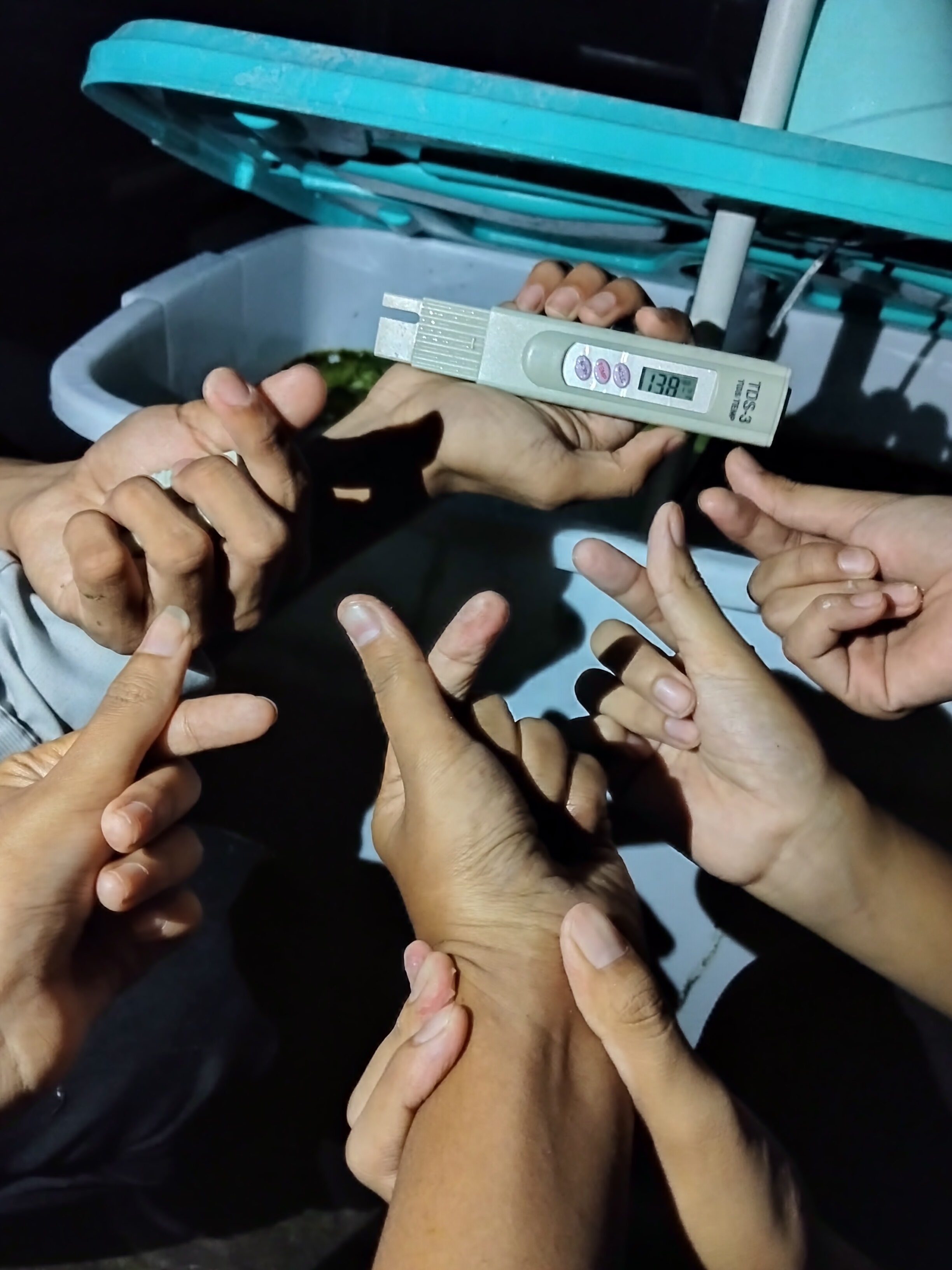 KEBUN SMKN 74 JAGAKARSA JAKARTA SELATAN - Gambar 477