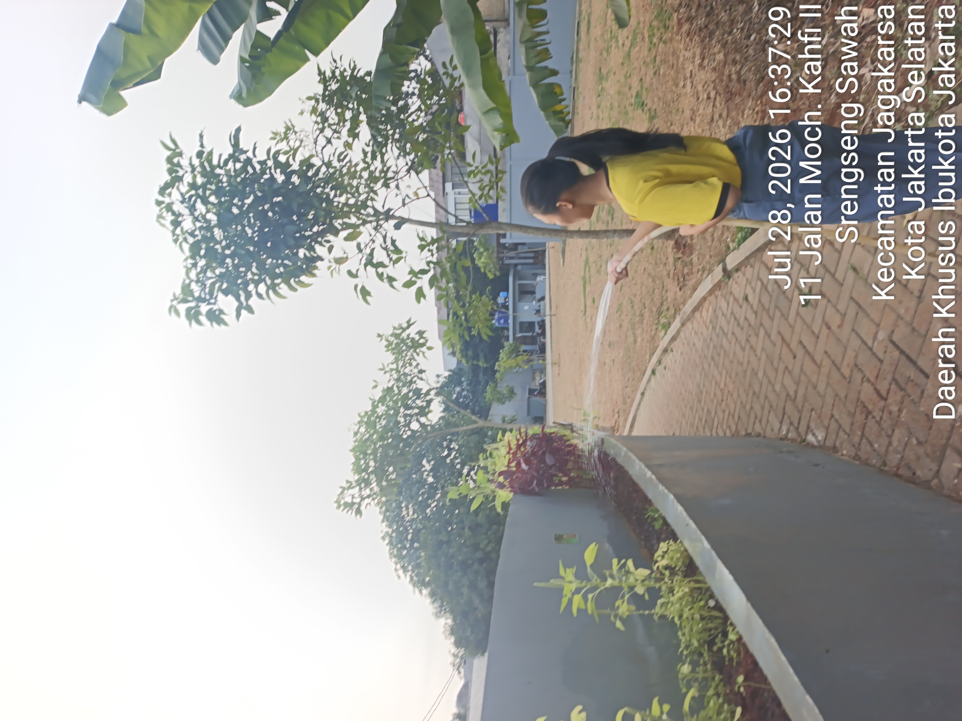 KEBUN SMKN 74 JAGAKARSA JAKARTA SELATAN - Gambar 475