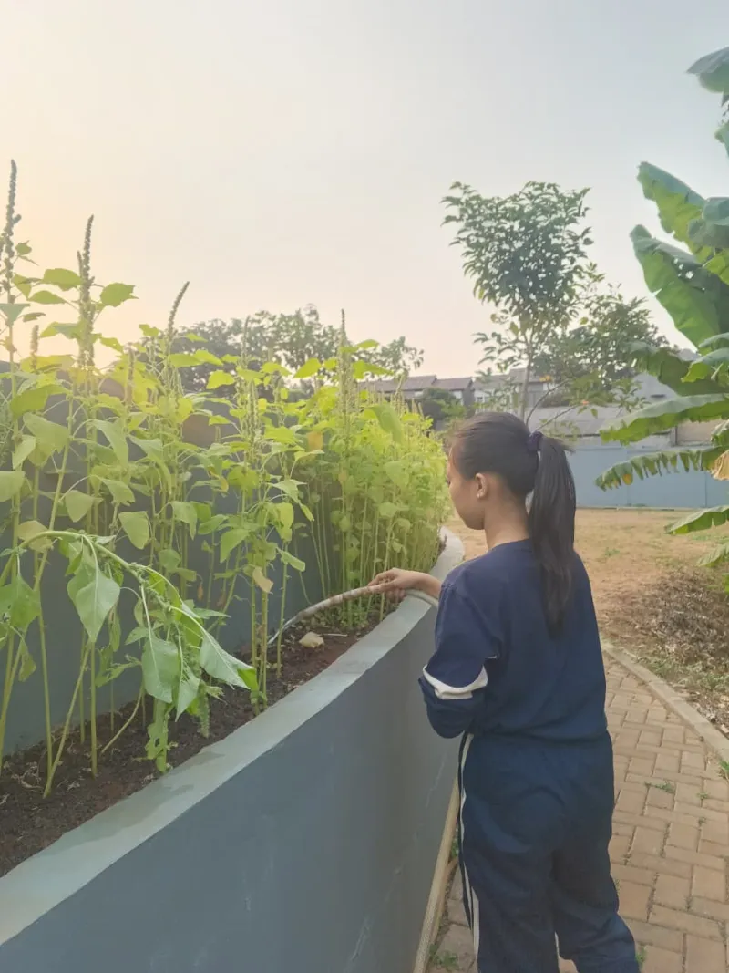 KEBUN SMKN 74 JAGAKARSA JAKARTA SELATAN - Gambar 469