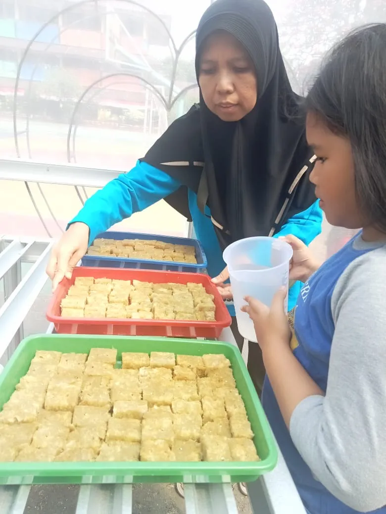 Lahan Urban Farming SDN Cipulir 03 - Gambar 104