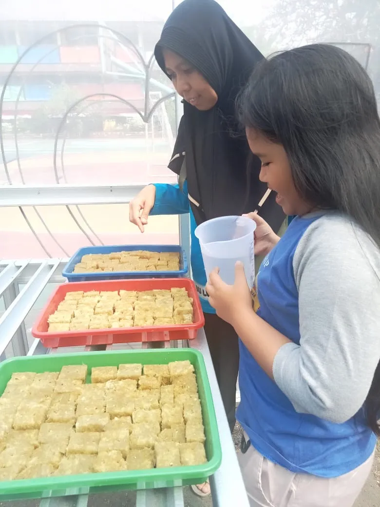 Lahan Urban Farming SDN Cipulir 03 - Gambar 99