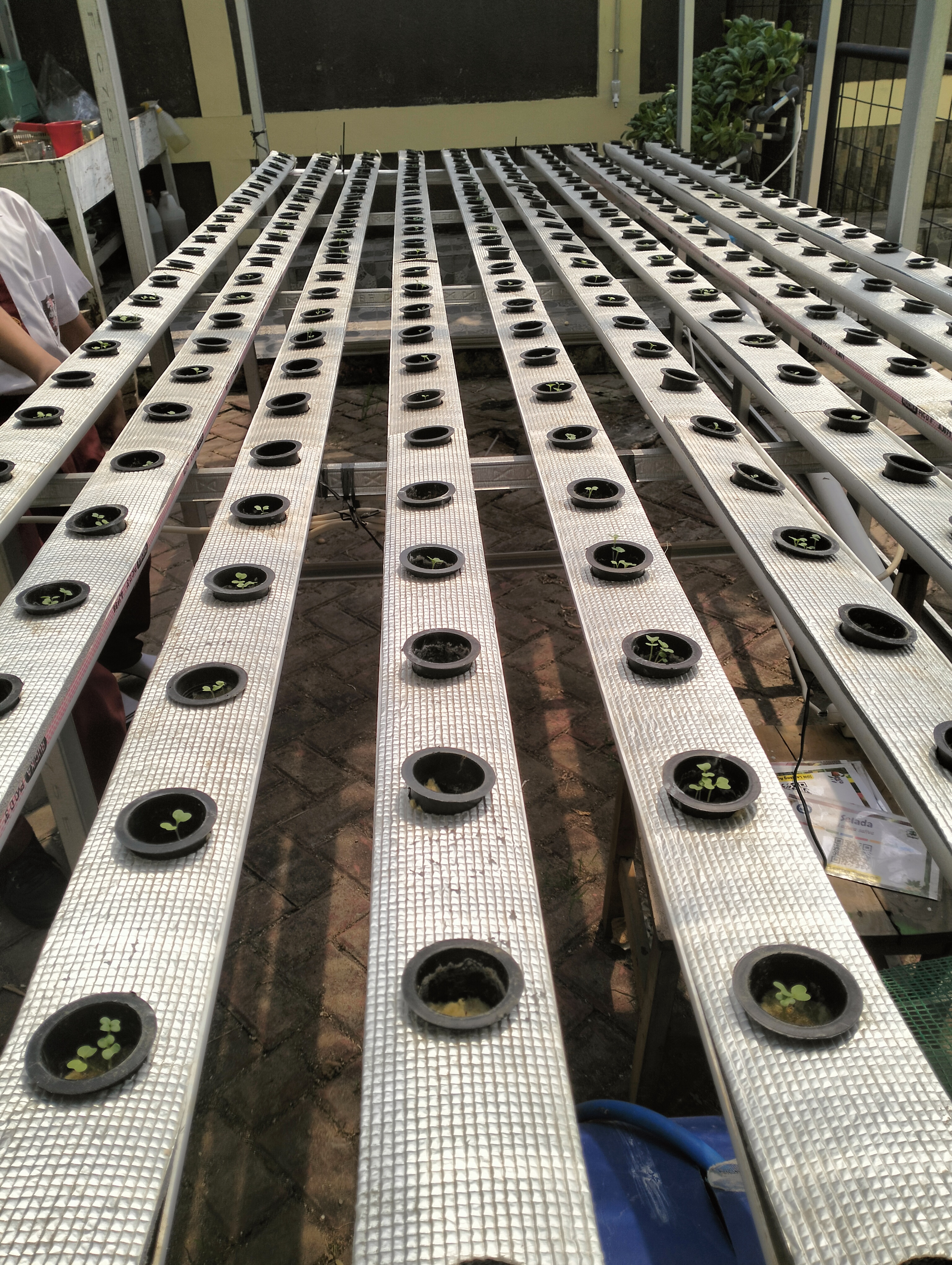 Lahan Urban Farming SDN Lenteng Agung 07 Jakarta - Gambar 126