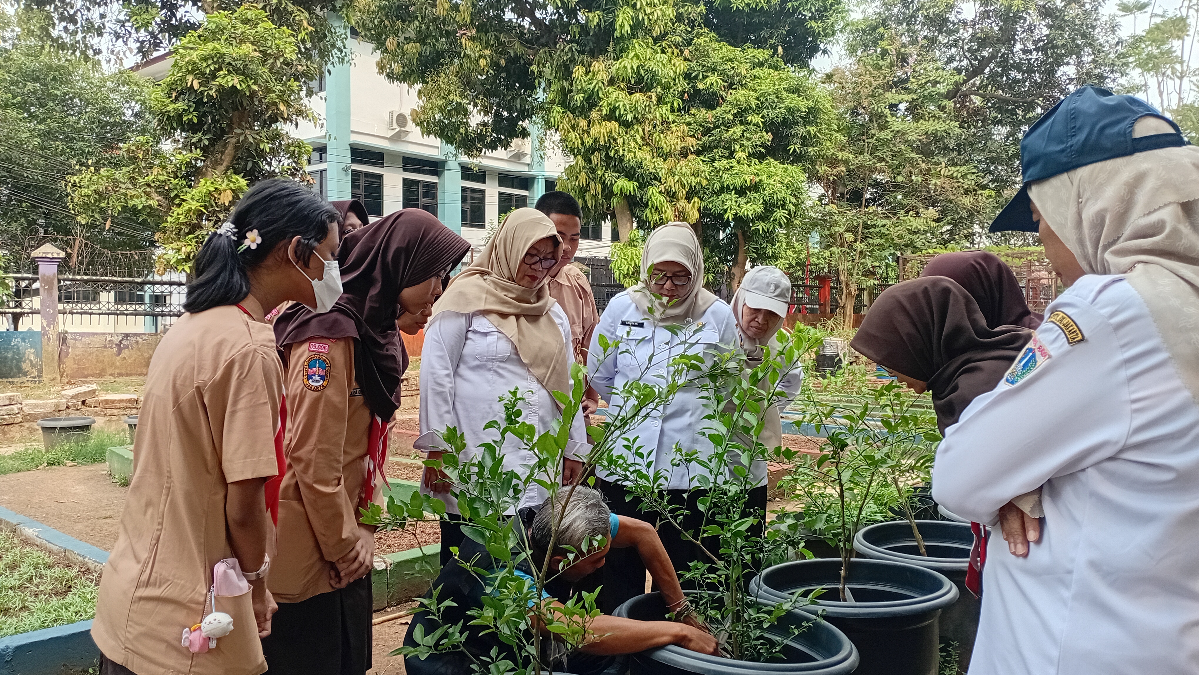 Lahan Urban Farming SMAN 109 Jakarta - Gambar 302