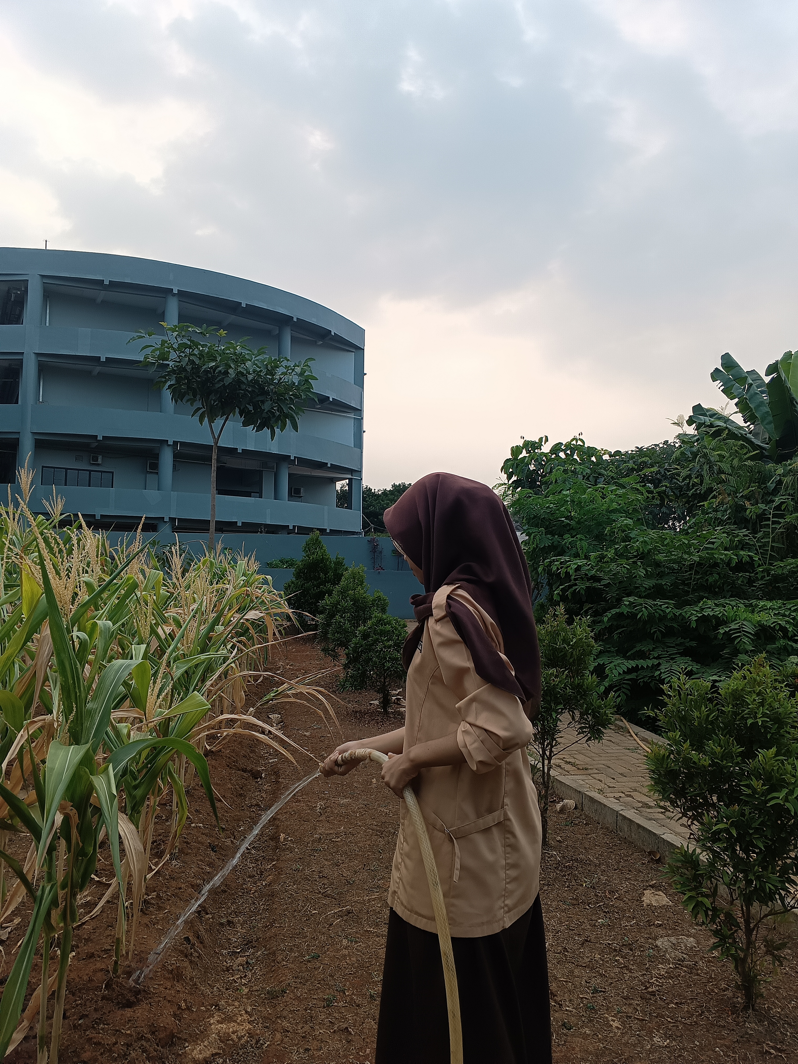 KEBUN SMKN 74 JAGAKARSA JAKARTA SELATAN - Gambar 465