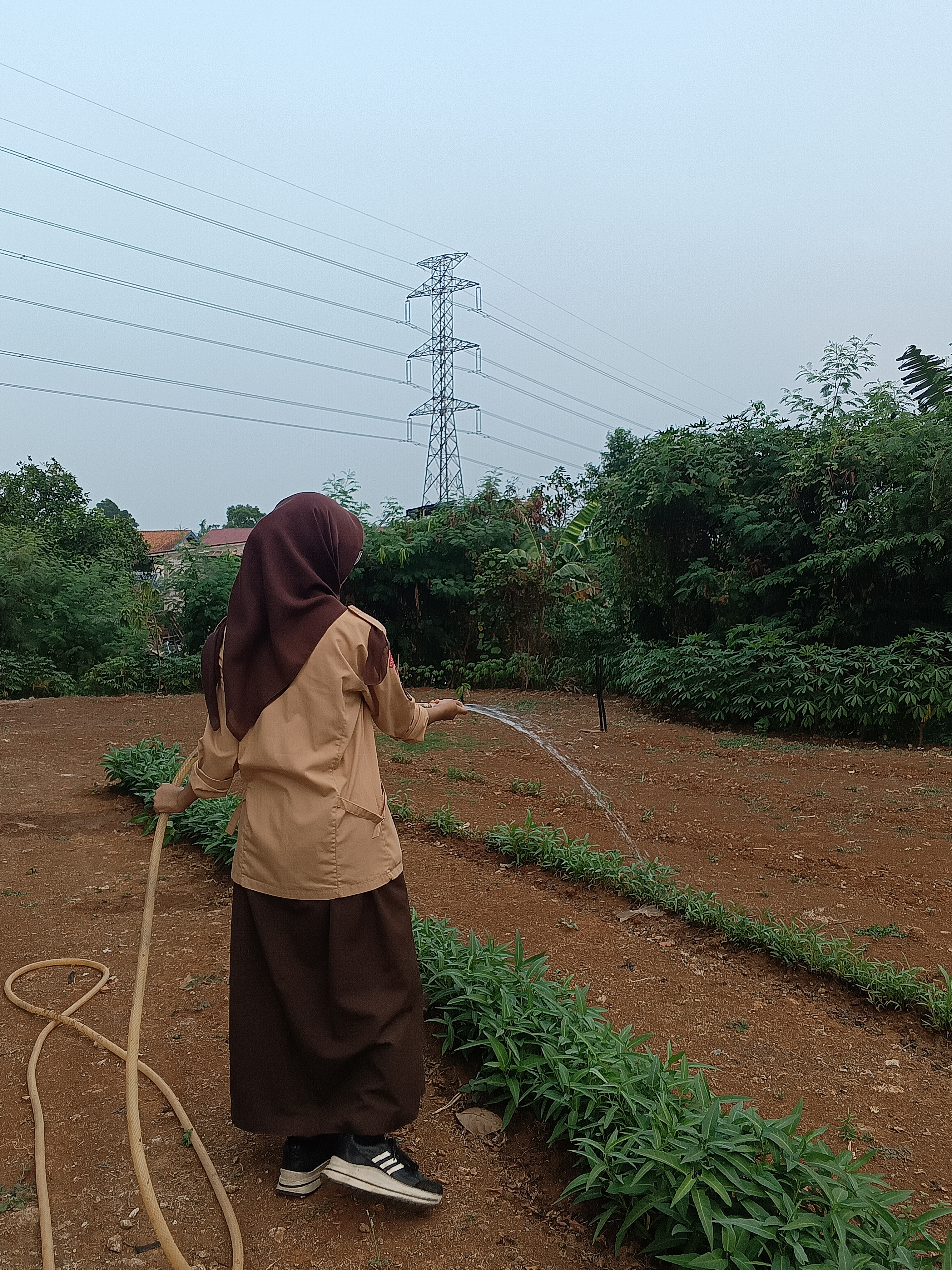 KEBUN SMKN 74 JAGAKARSA JAKARTA SELATAN - Gambar 466