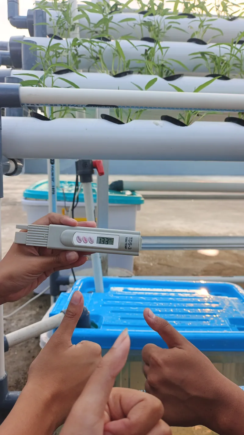 KEBUN SMKN 74 JAGAKARSA JAKARTA SELATAN - Gambar 463