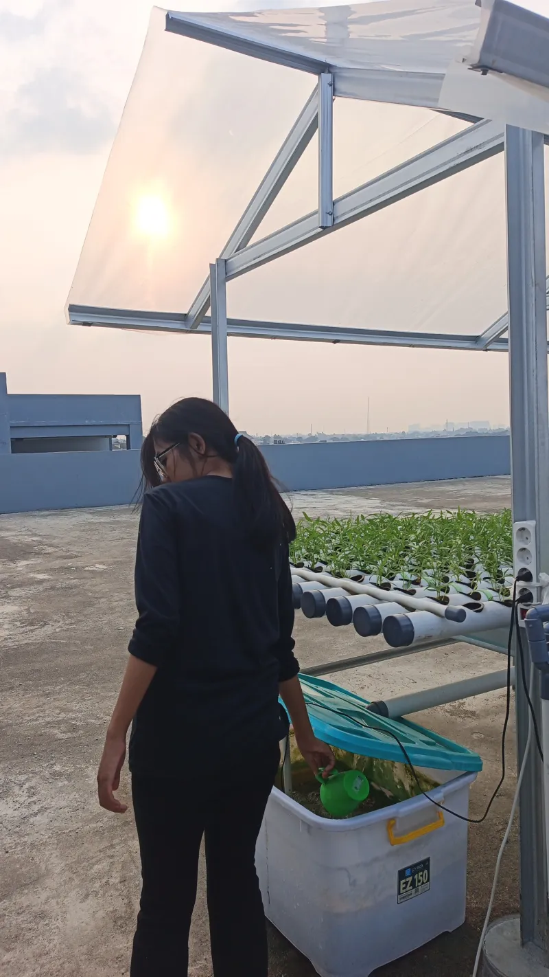 KEBUN SMKN 74 JAGAKARSA JAKARTA SELATAN - Gambar 462