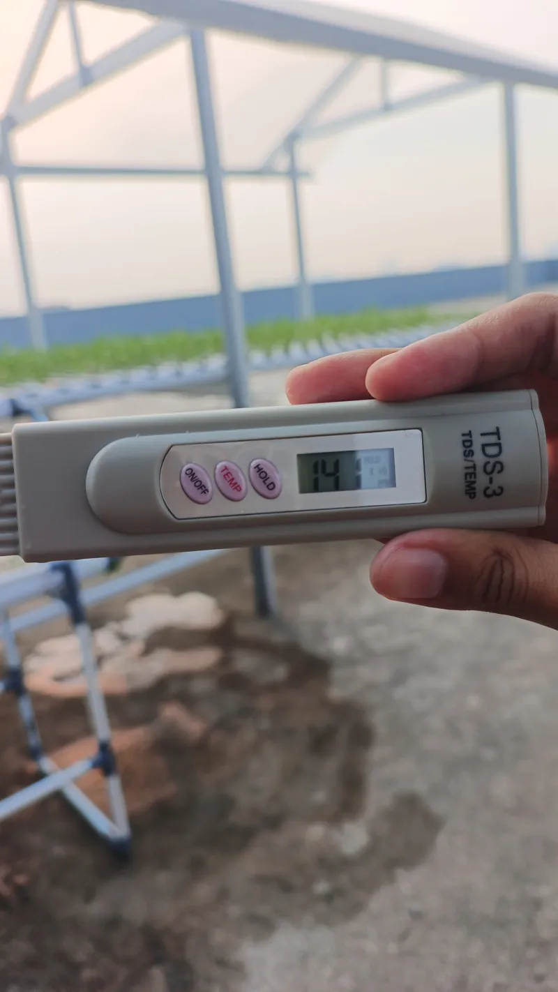 KEBUN SMKN 74 JAGAKARSA JAKARTA SELATAN - Gambar 464