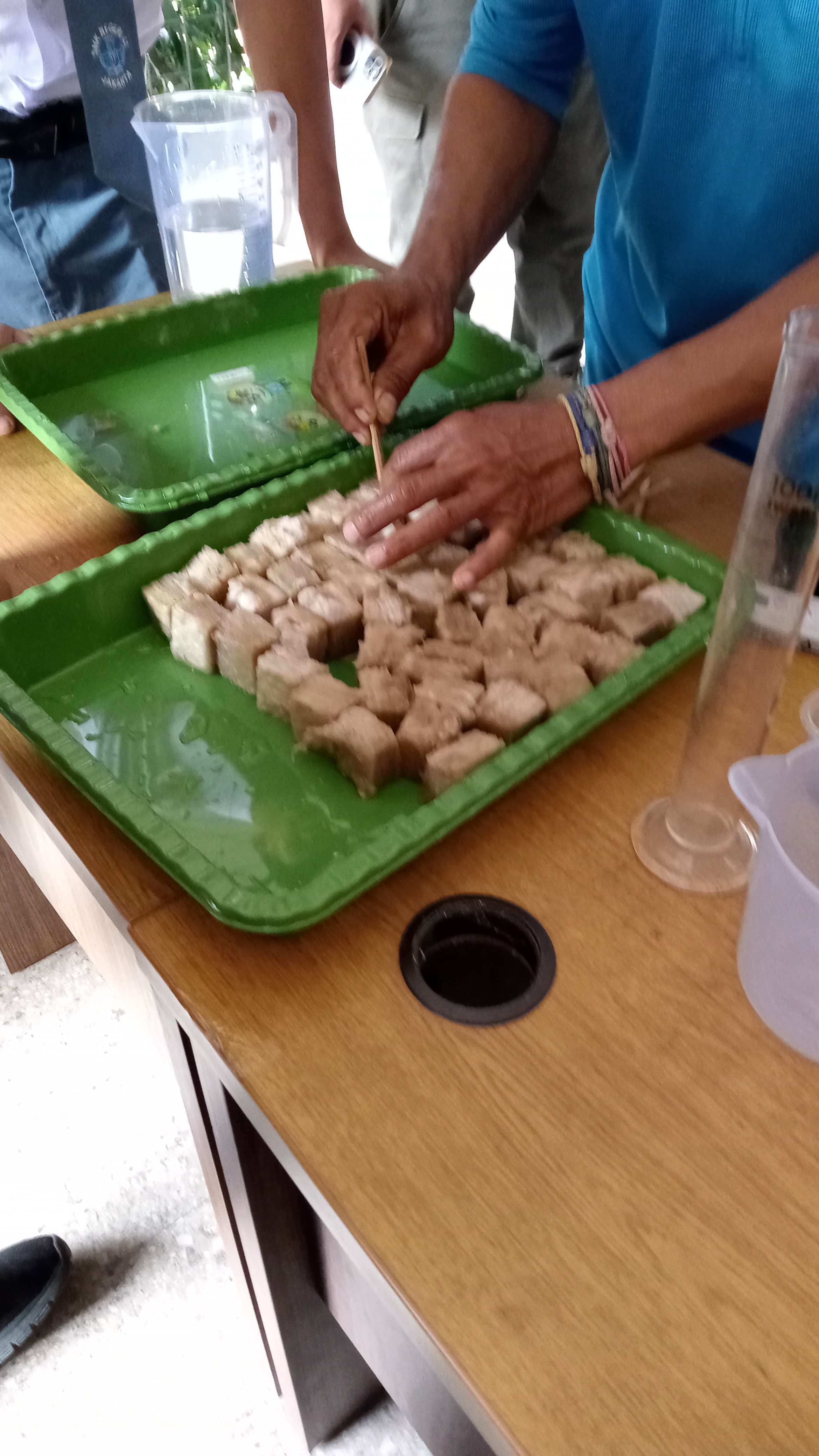 Lahan Urban Farming SMKN 41 Jakarta - Gambar 98