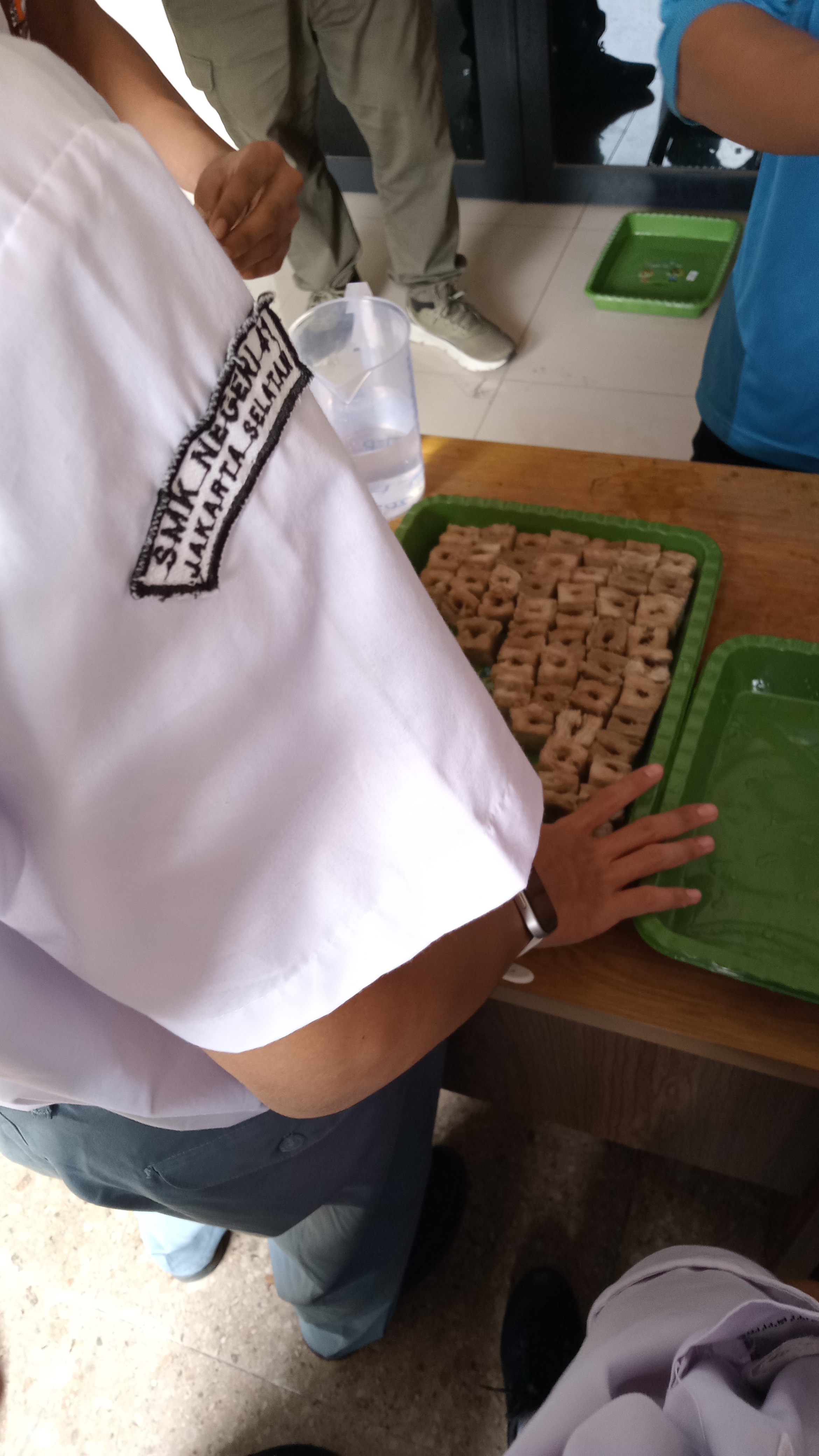Lahan Urban Farming SMKN 41 Jakarta - Gambar 99