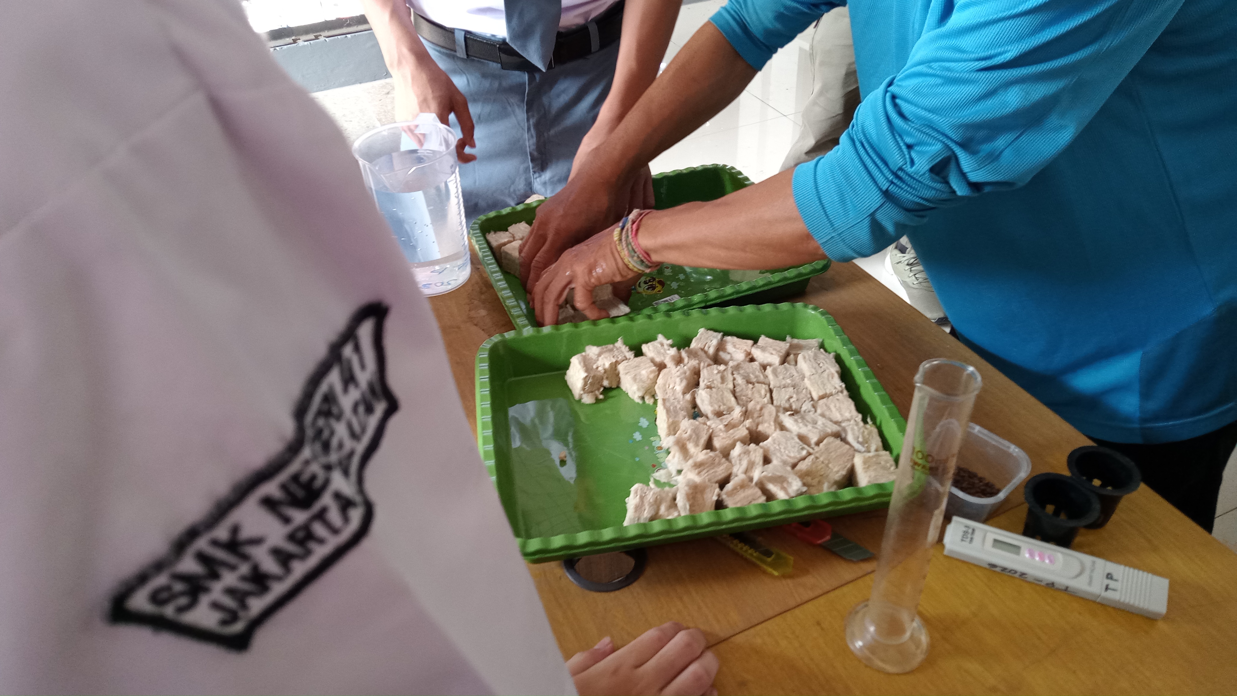 Lahan Urban Farming SMKN 41 Jakarta - Gambar 95