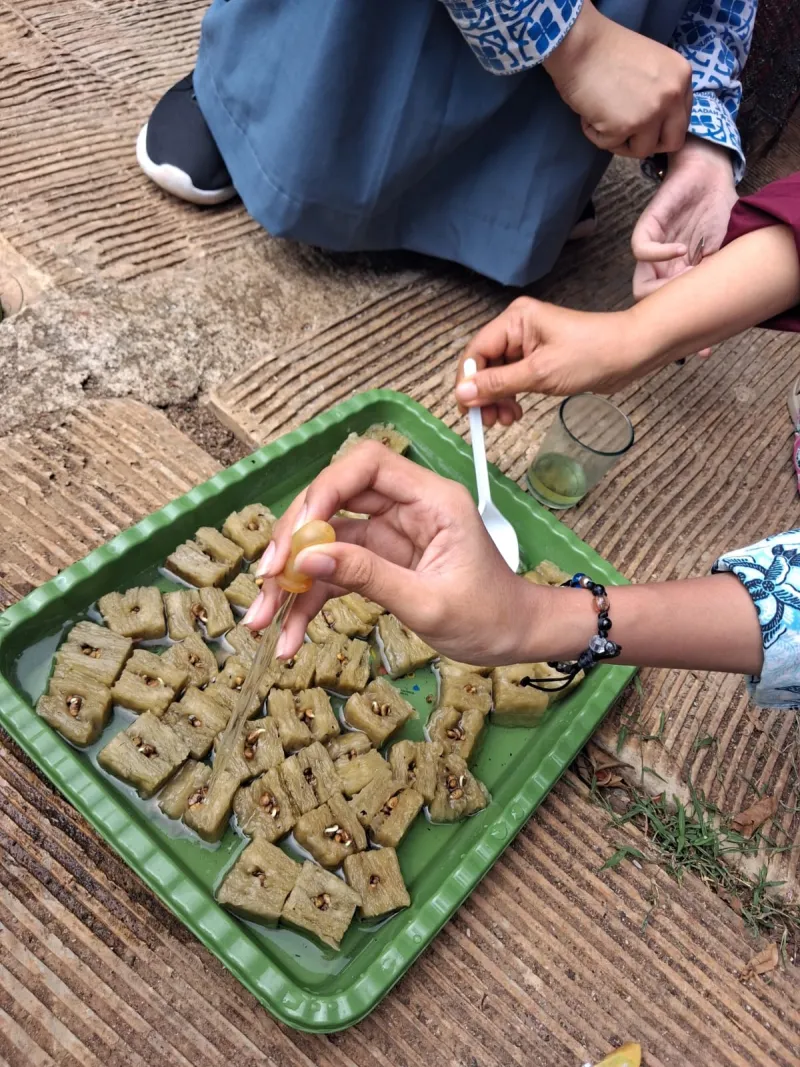 Lahan Urban Farming SMAN 109 Jakarta - Gambar 298