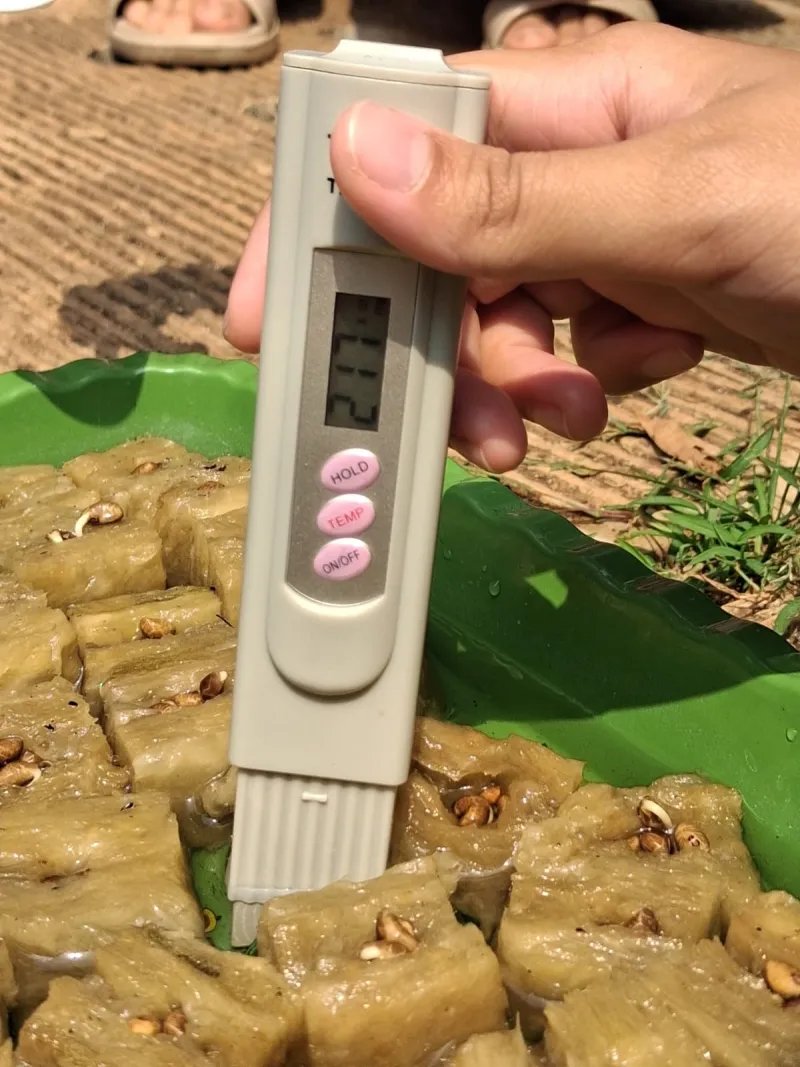 Lahan Urban Farming SMAN 109 Jakarta - Gambar 297