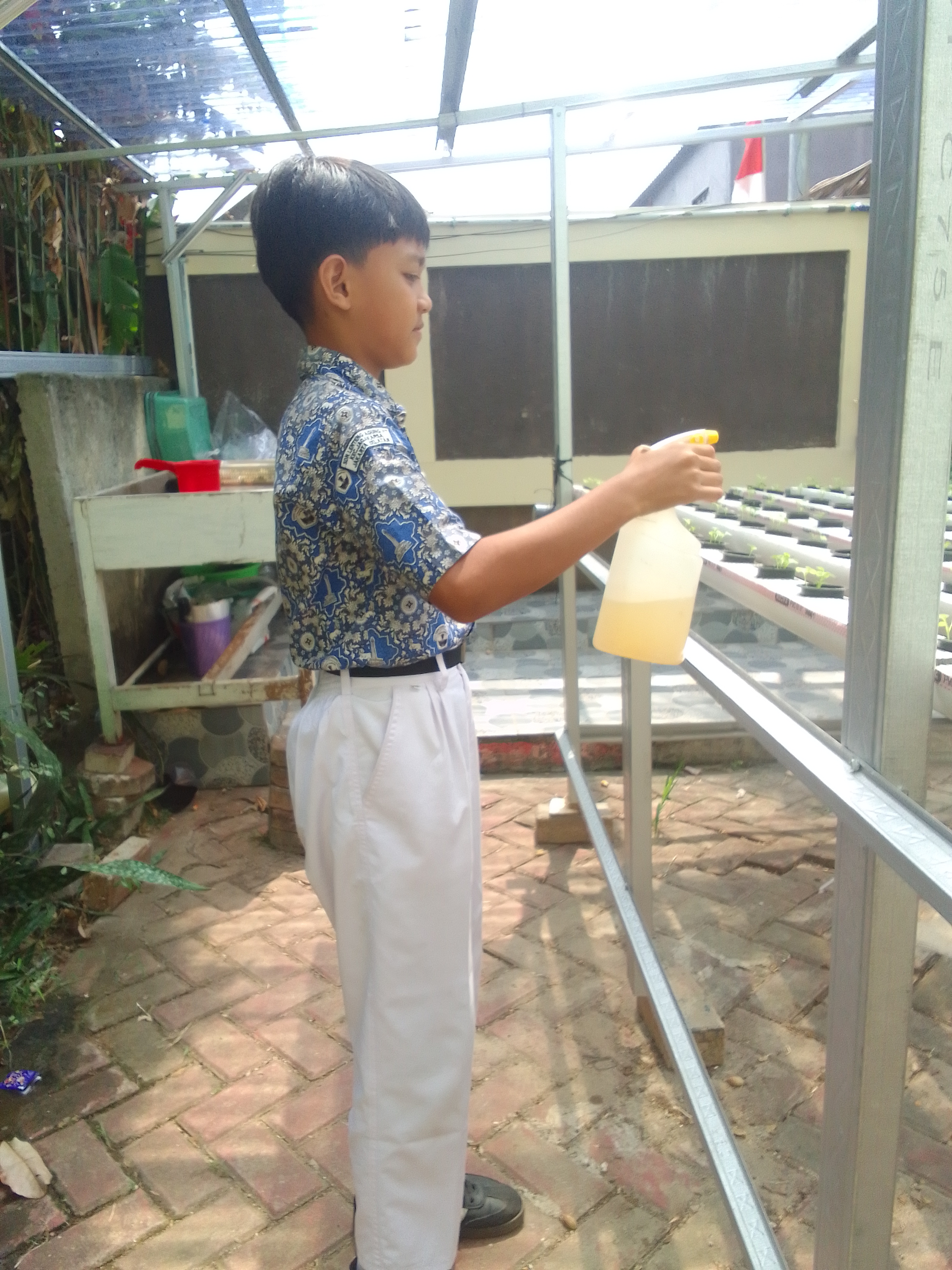 Lahan Urban Farming SDN Lenteng Agung 07 Jakarta - Gambar 120