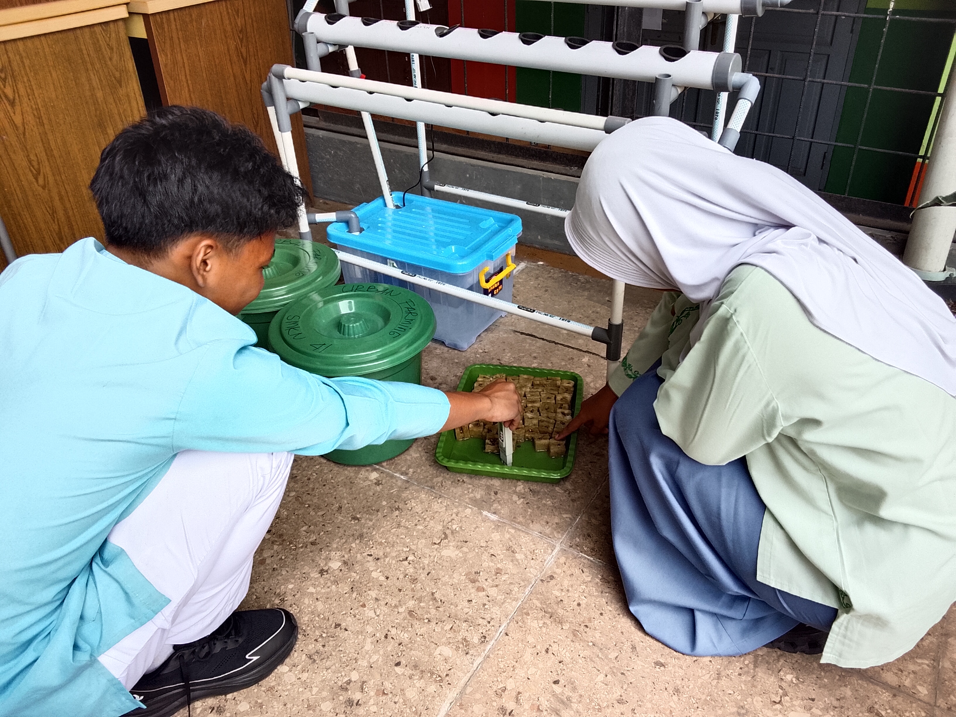 Lahan Urban Farming SMKN 41 Jakarta - Gambar 94