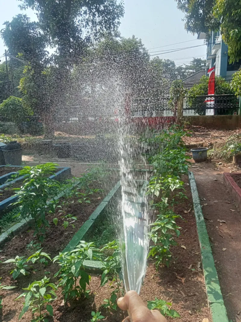 Lahan Urban Farming SMAN 109 Jakarta - Gambar 293
