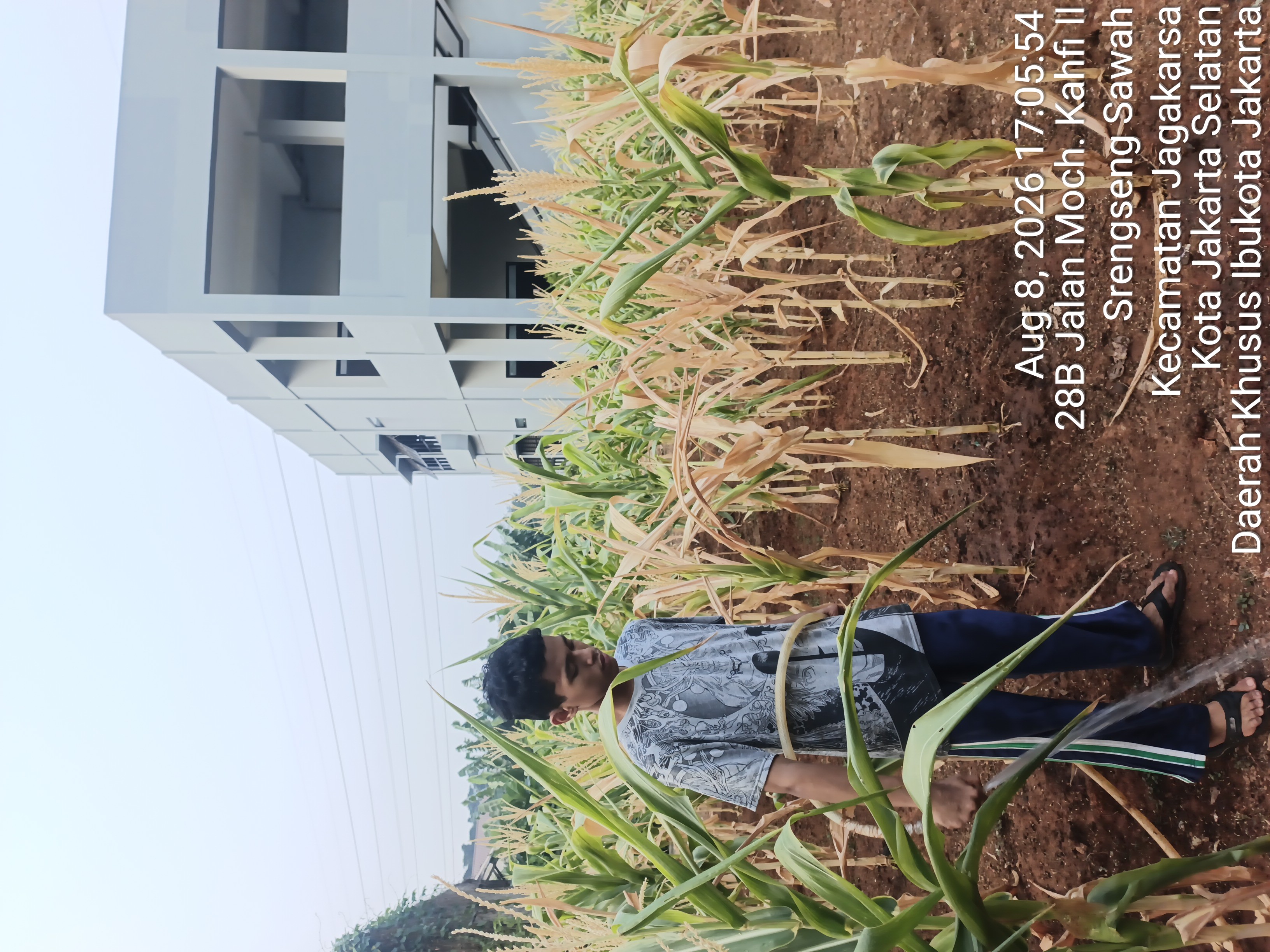 KEBUN SMKN 74 JAGAKARSA JAKARTA SELATAN - Gambar 456