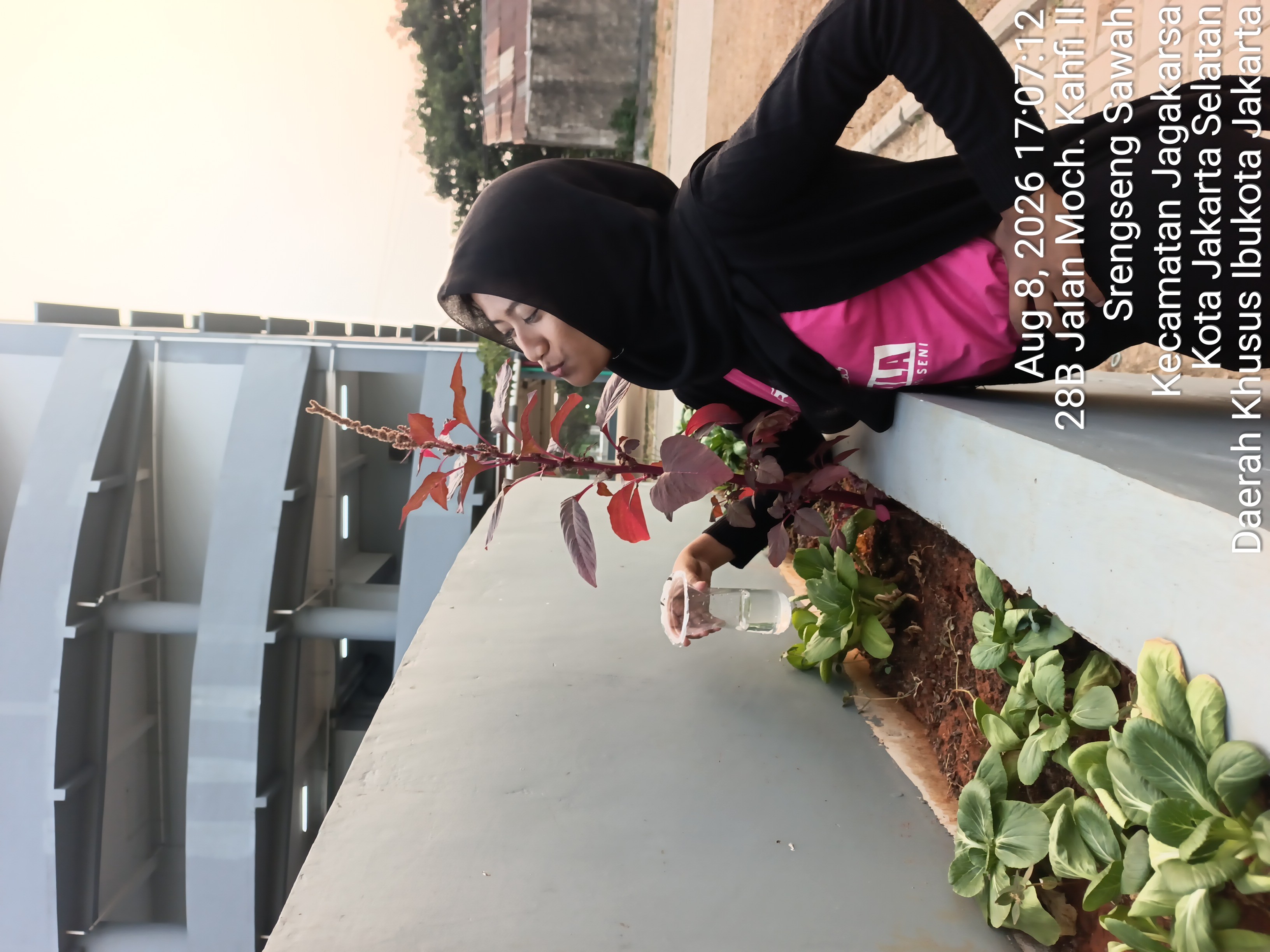 KEBUN SMKN 74 JAGAKARSA JAKARTA SELATAN - Gambar 454