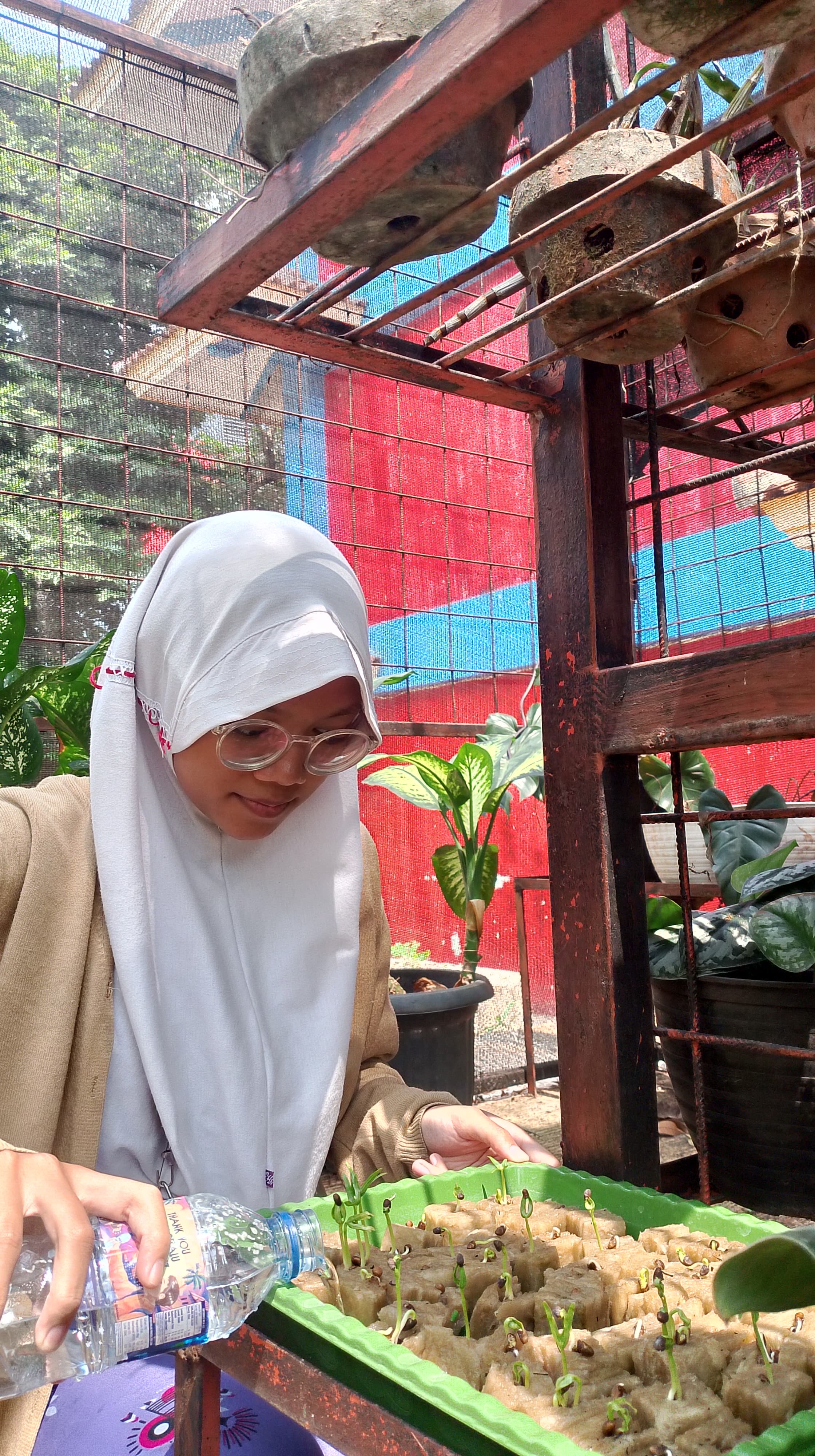 Lahan Urban Farming SMAN 109 Jakarta - Gambar 291