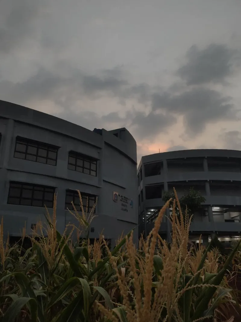 KEBUN SMKN 74 JAGAKARSA JAKARTA SELATAN - Gambar 437