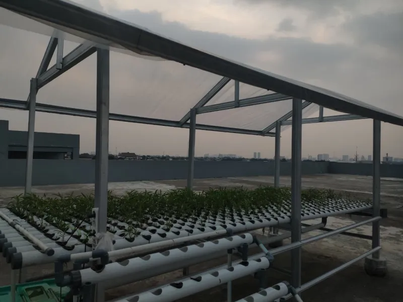 KEBUN SMKN 74 JAGAKARSA JAKARTA SELATAN - Gambar 427