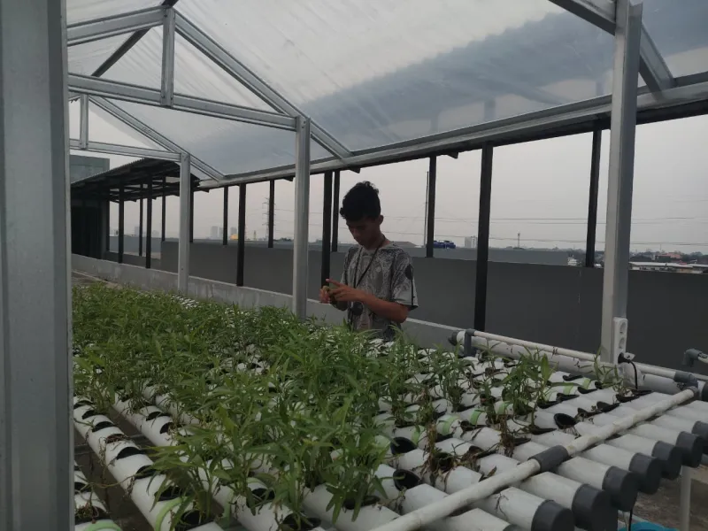 KEBUN SMKN 74 JAGAKARSA JAKARTA SELATAN - Gambar 440