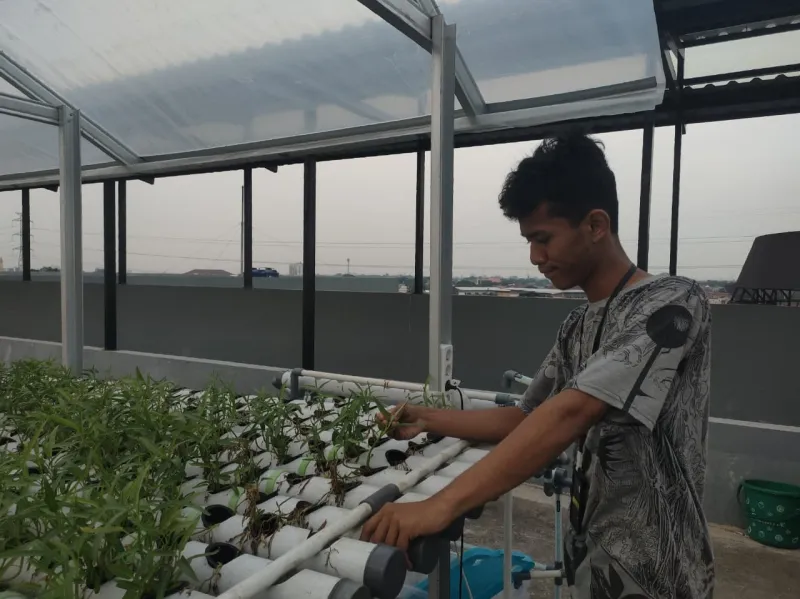 KEBUN SMKN 74 JAGAKARSA JAKARTA SELATAN - Gambar 433