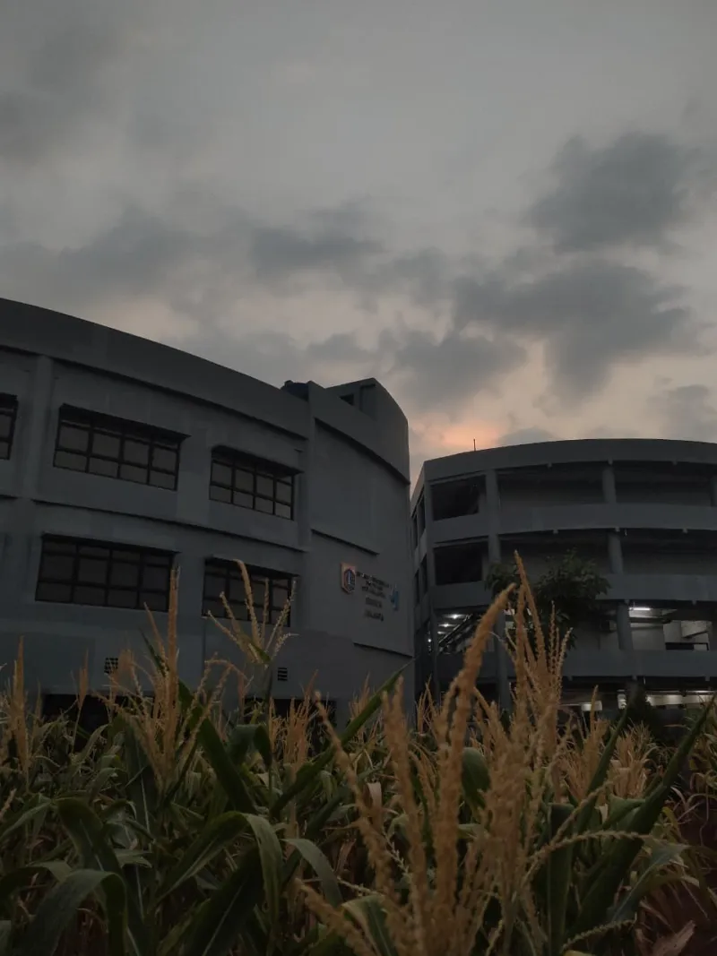 KEBUN SMKN 74 JAGAKARSA JAKARTA SELATAN - Gambar 441