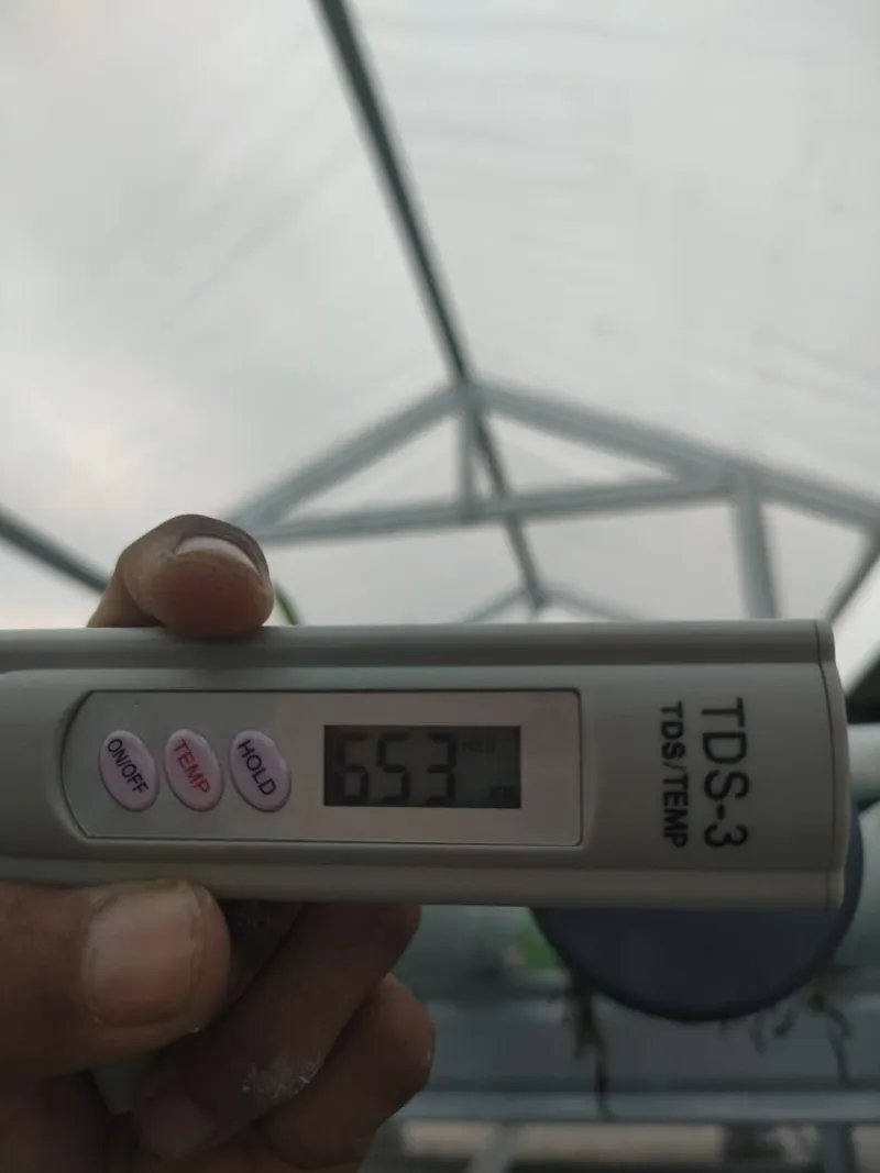 KEBUN SMKN 74 JAGAKARSA JAKARTA SELATAN - Gambar 434