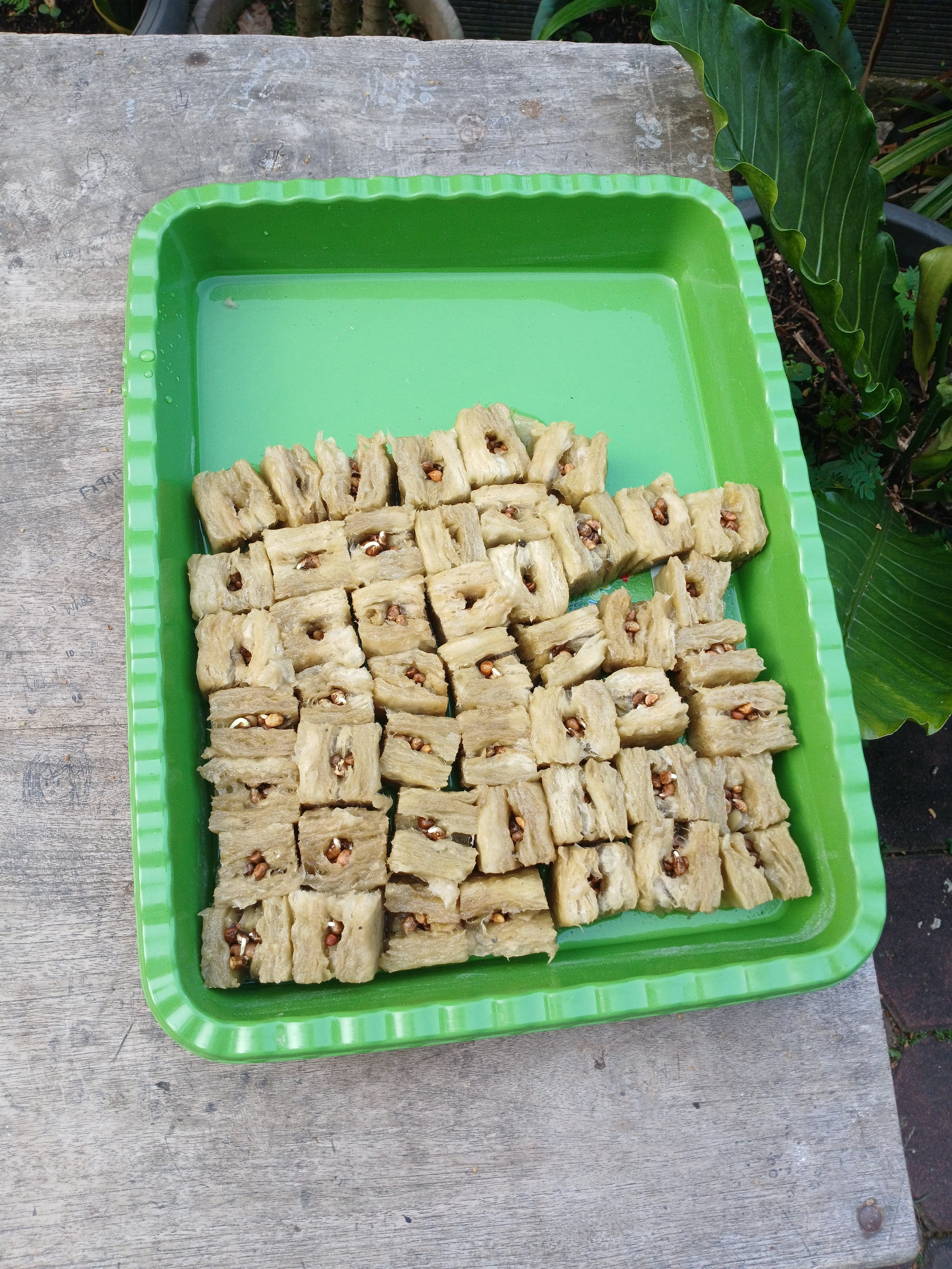 Lahan Urban Farming SMKN 62 Jakarta - Gambar 65