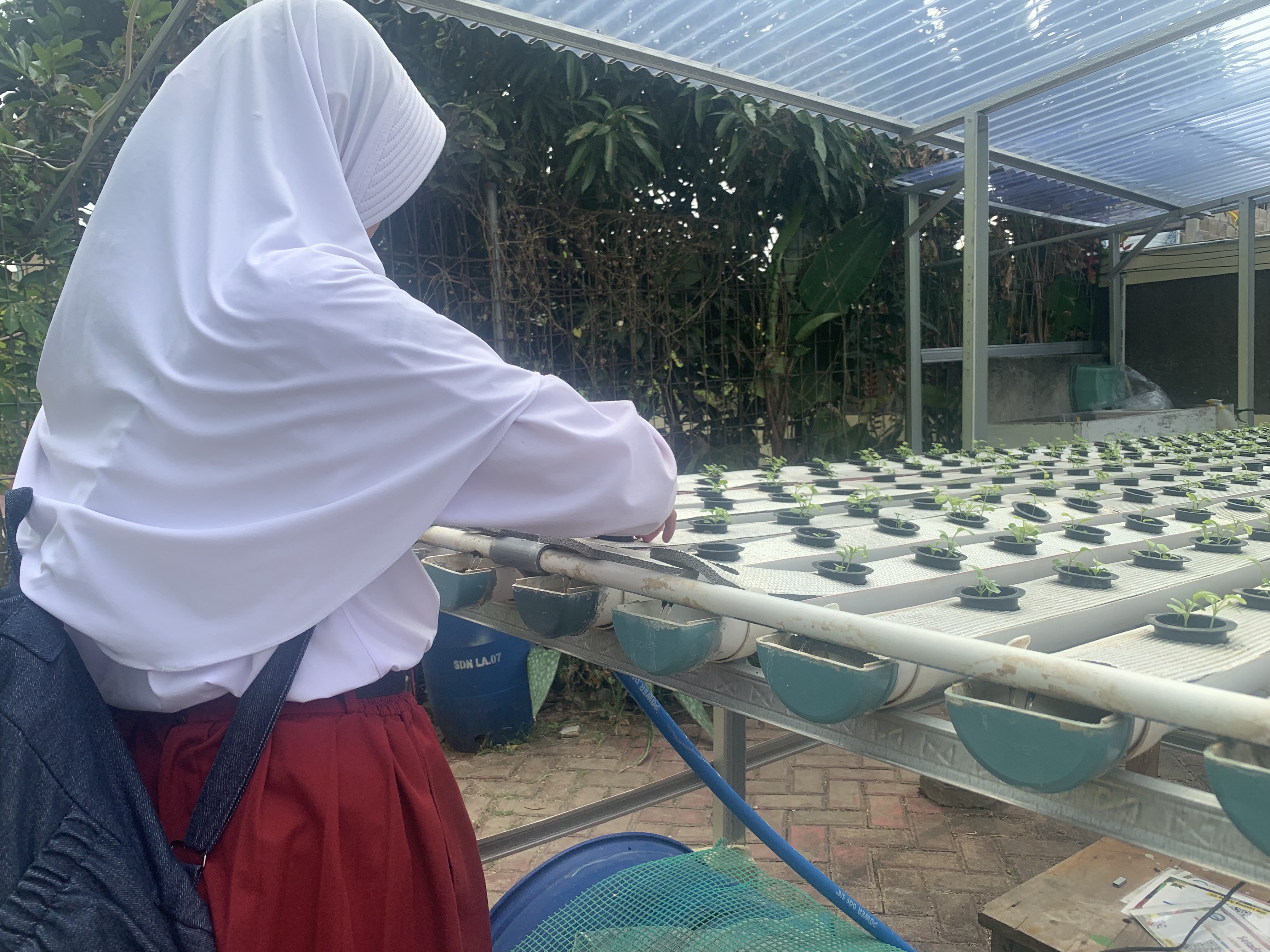 Lahan Urban Farming SDN Lenteng Agung 07 Jakarta - Gambar 117