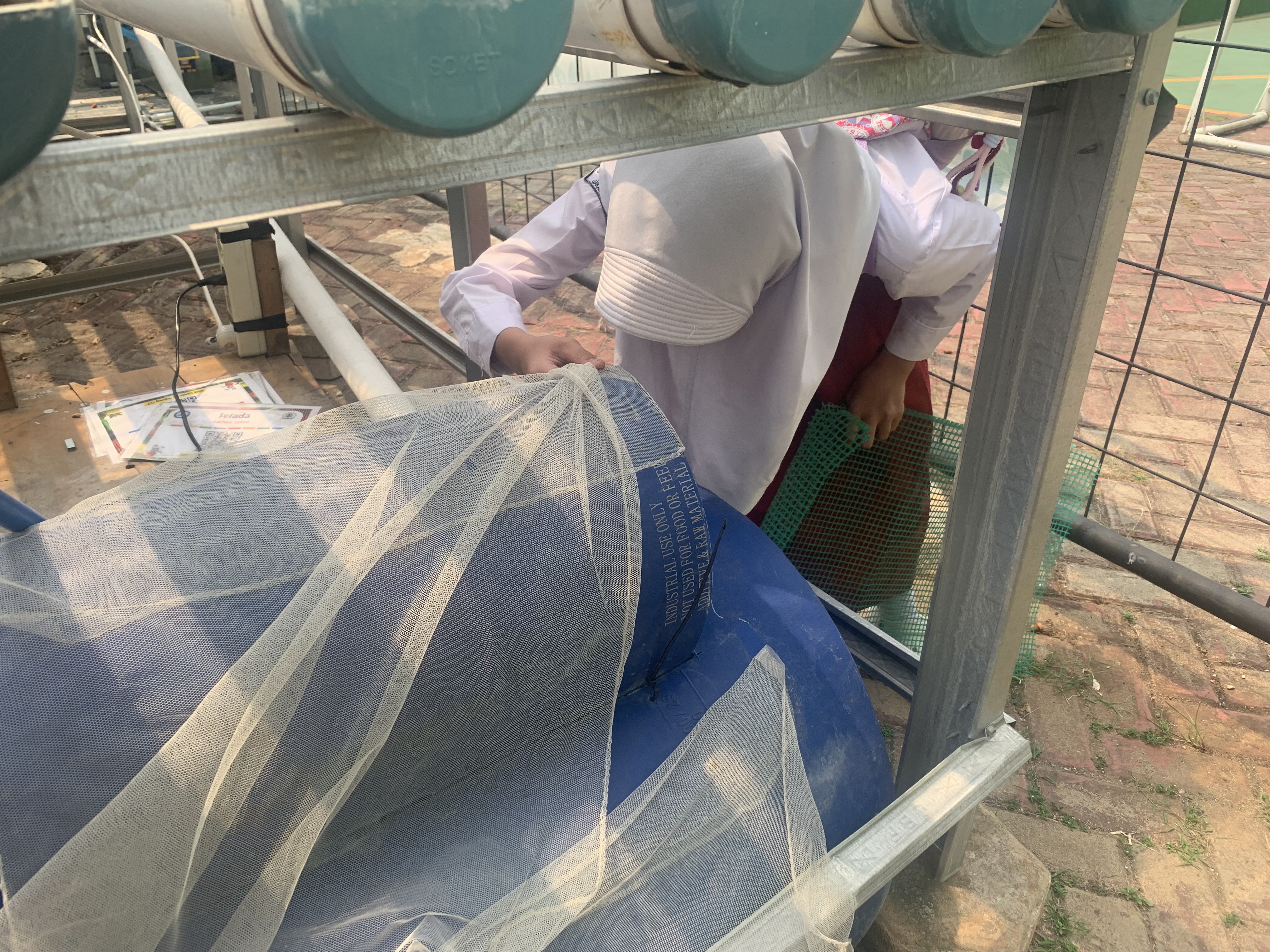 Lahan Urban Farming SDN Lenteng Agung 07 Jakarta - Gambar 118