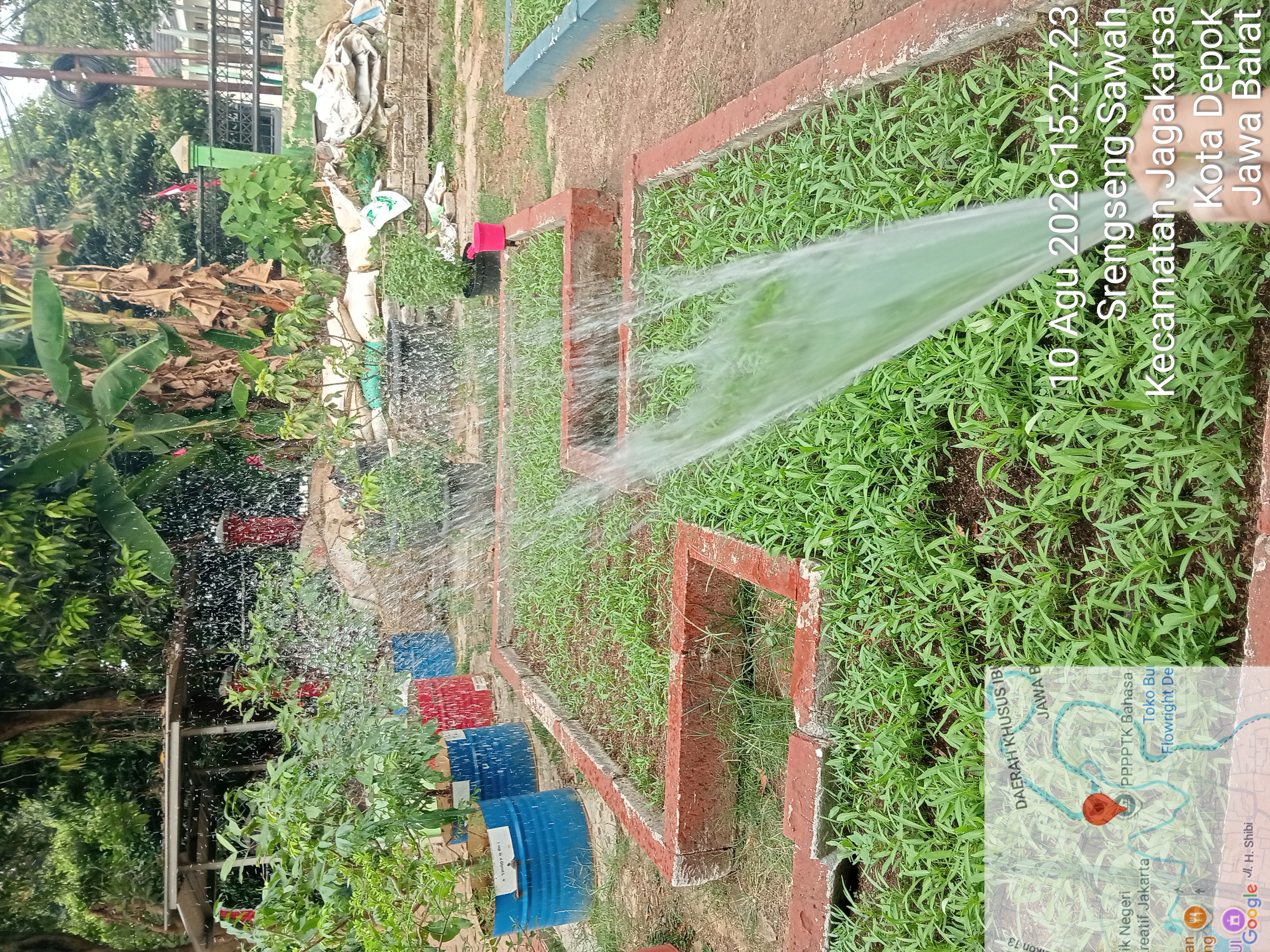 Lahan Urban Farming SMAN 109 Jakarta - Gambar 287